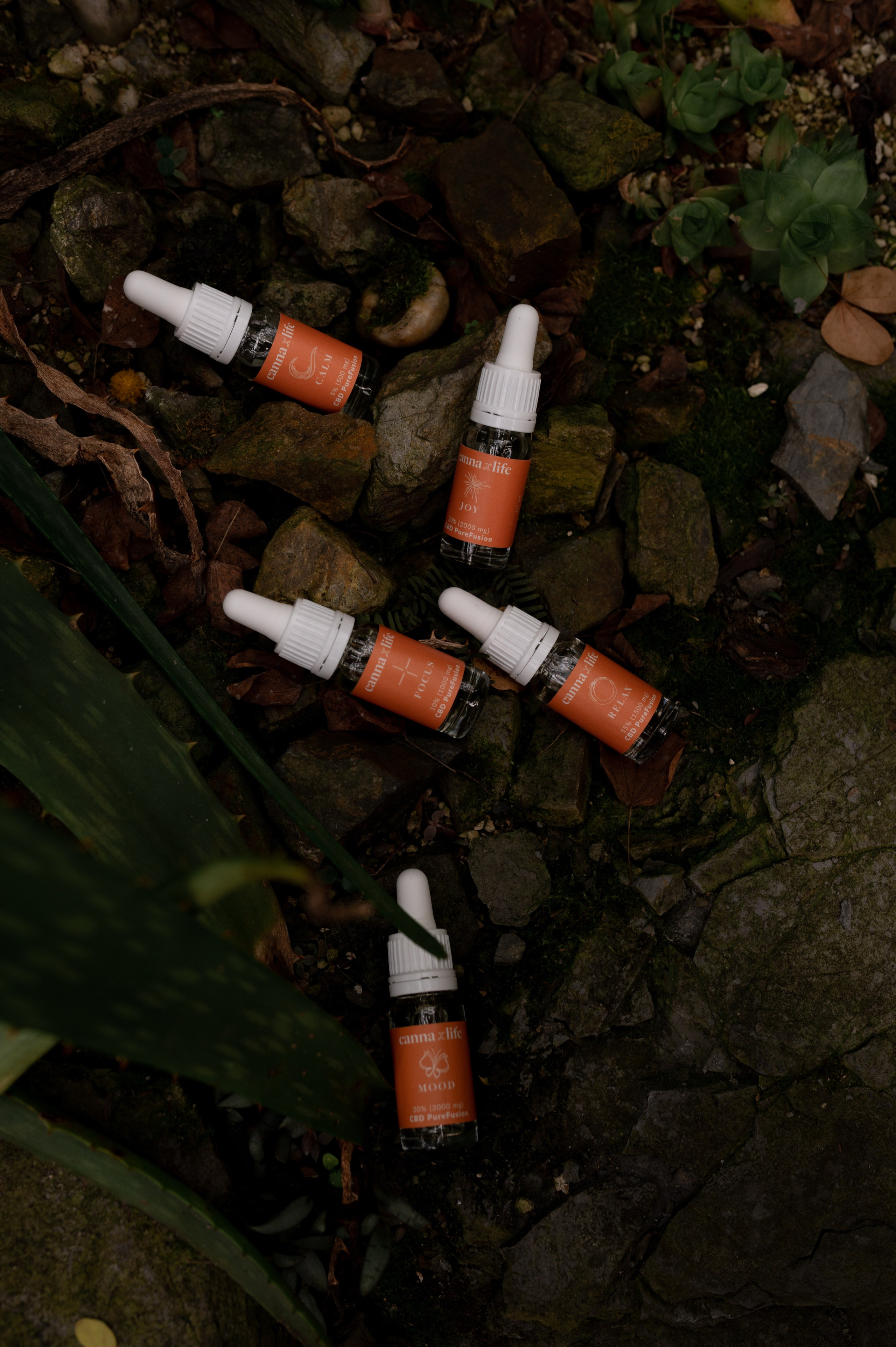 CannaXlife CBD products. ANNA-MARIA PHOTO CONTENT CREATOR — фотограф, эстет, художник и визуальный эксперт в Instagram, работающий в Праге