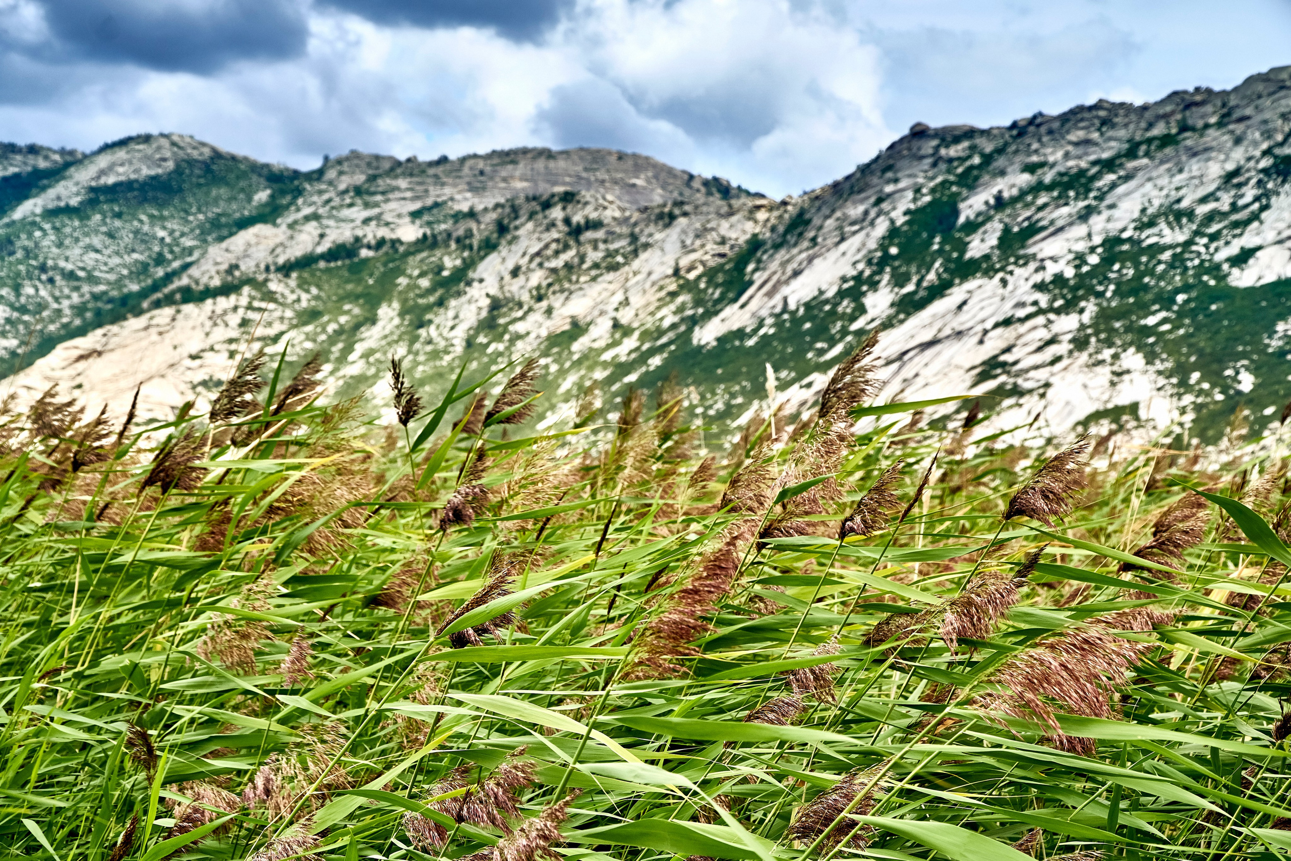 Сибины. Андрей Шипилов — Фотография & Видеография