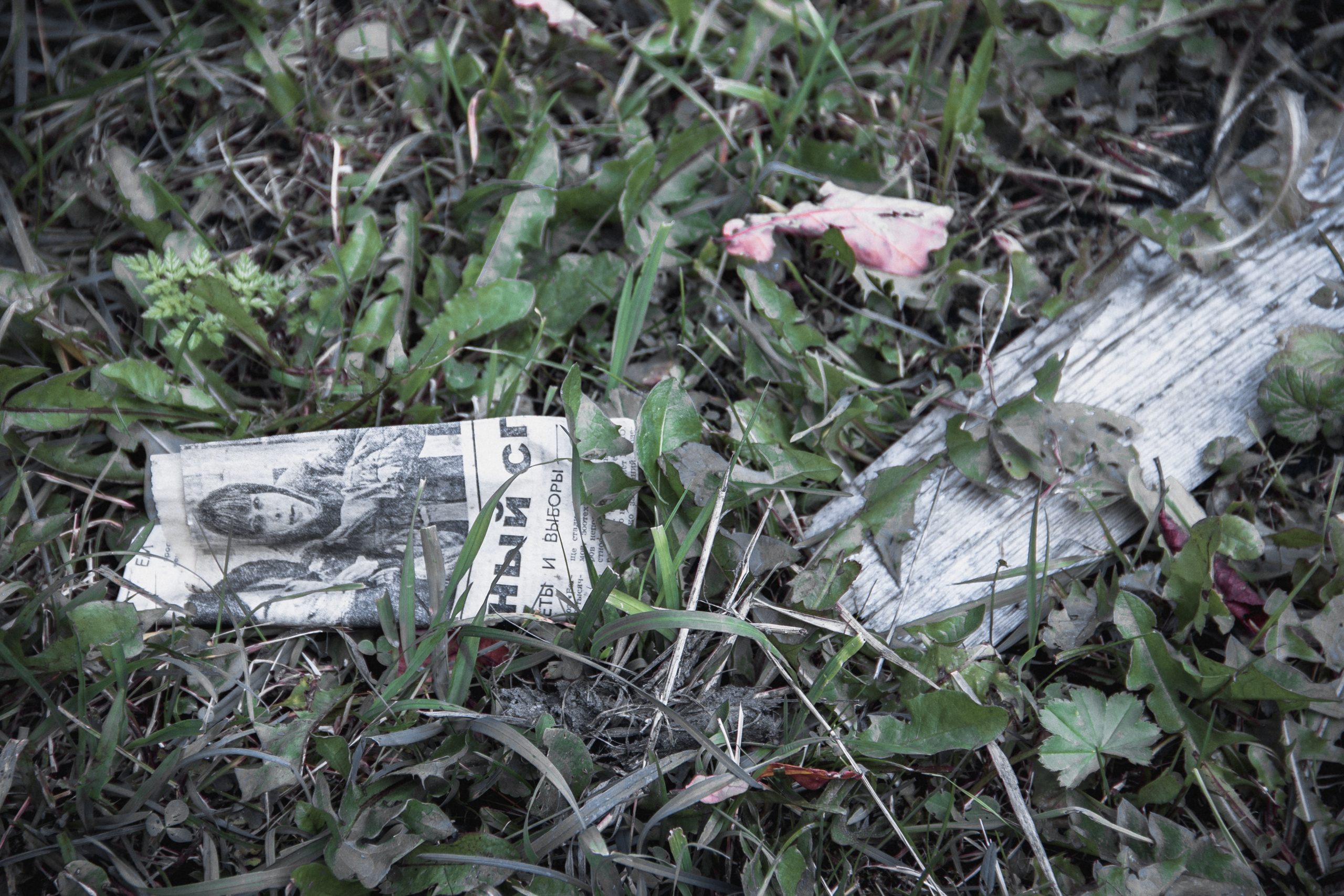 Verlassenes Russland: Manturowo im Gebiet Kostroma. Maria Chistyakovа — Fotografin in Karlsruhe, Baden-Baden und Umgebung