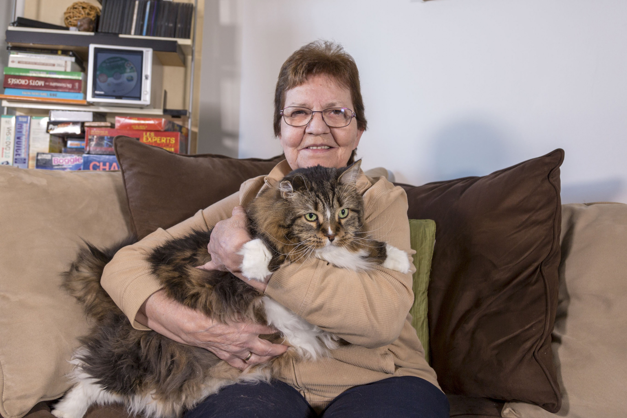 Animal de Compagnie. Studioplaza8