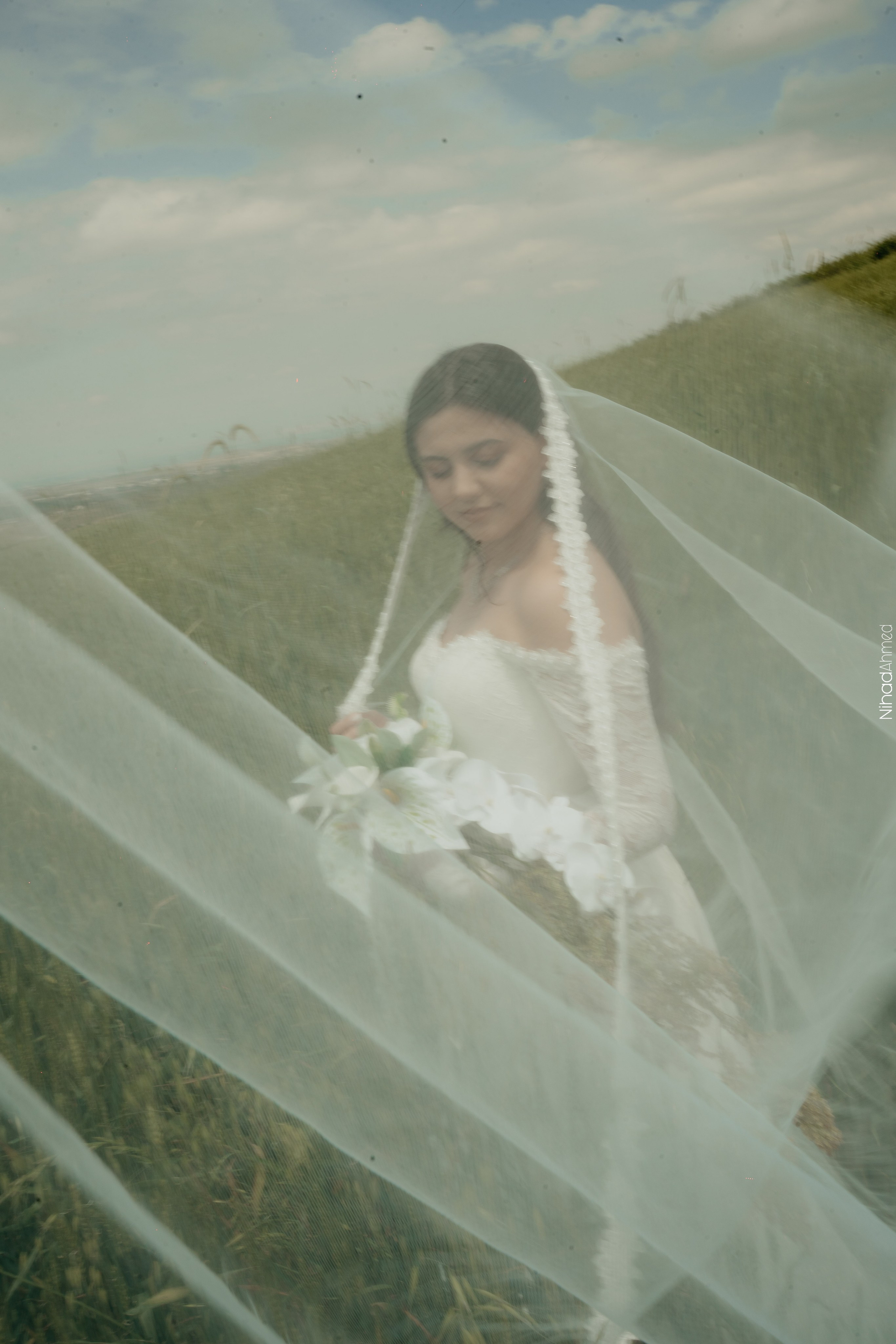 Togrul & Sanem. Nihadahmed