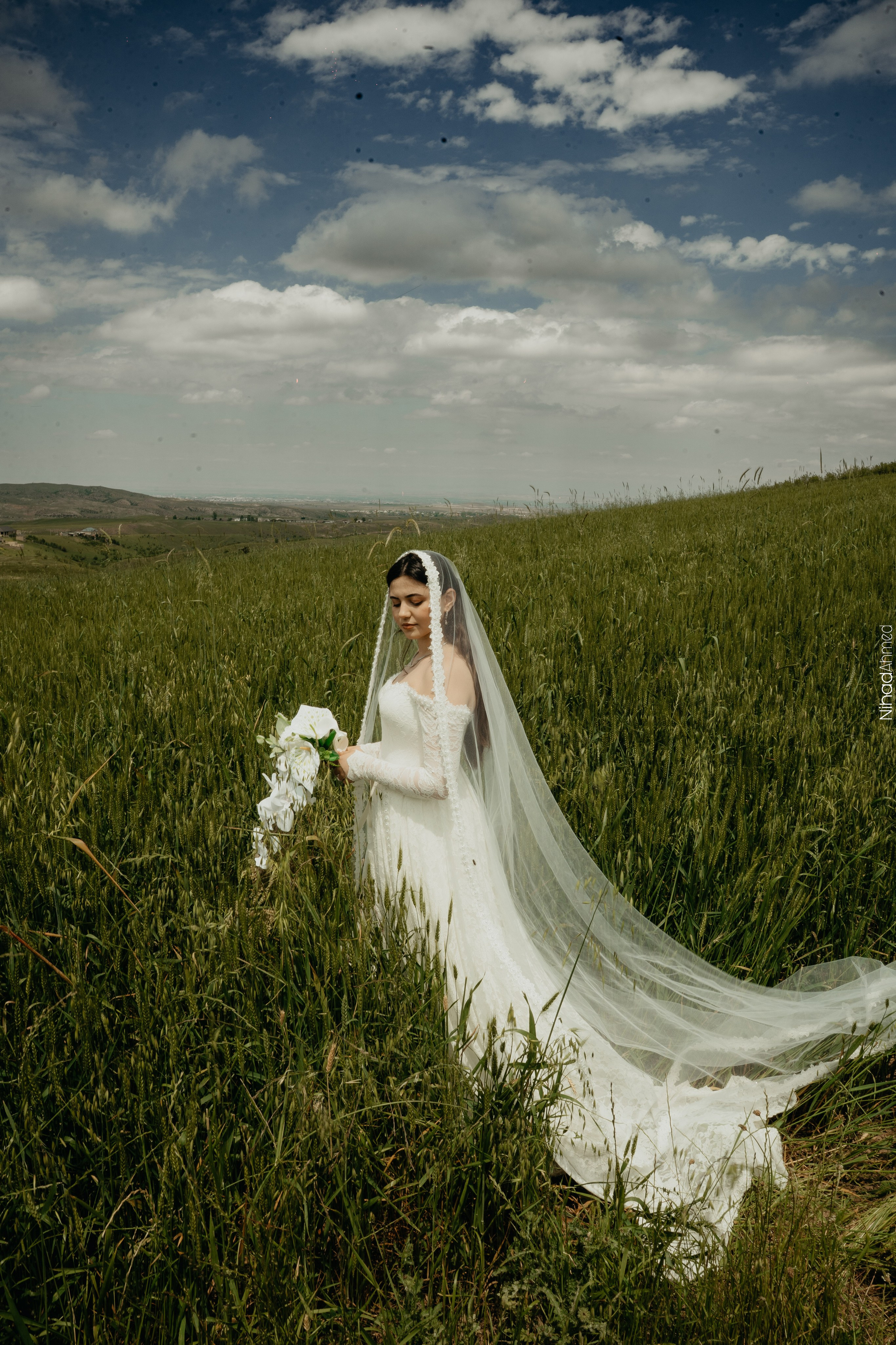 Togrul & Sanem. Nihadahmed