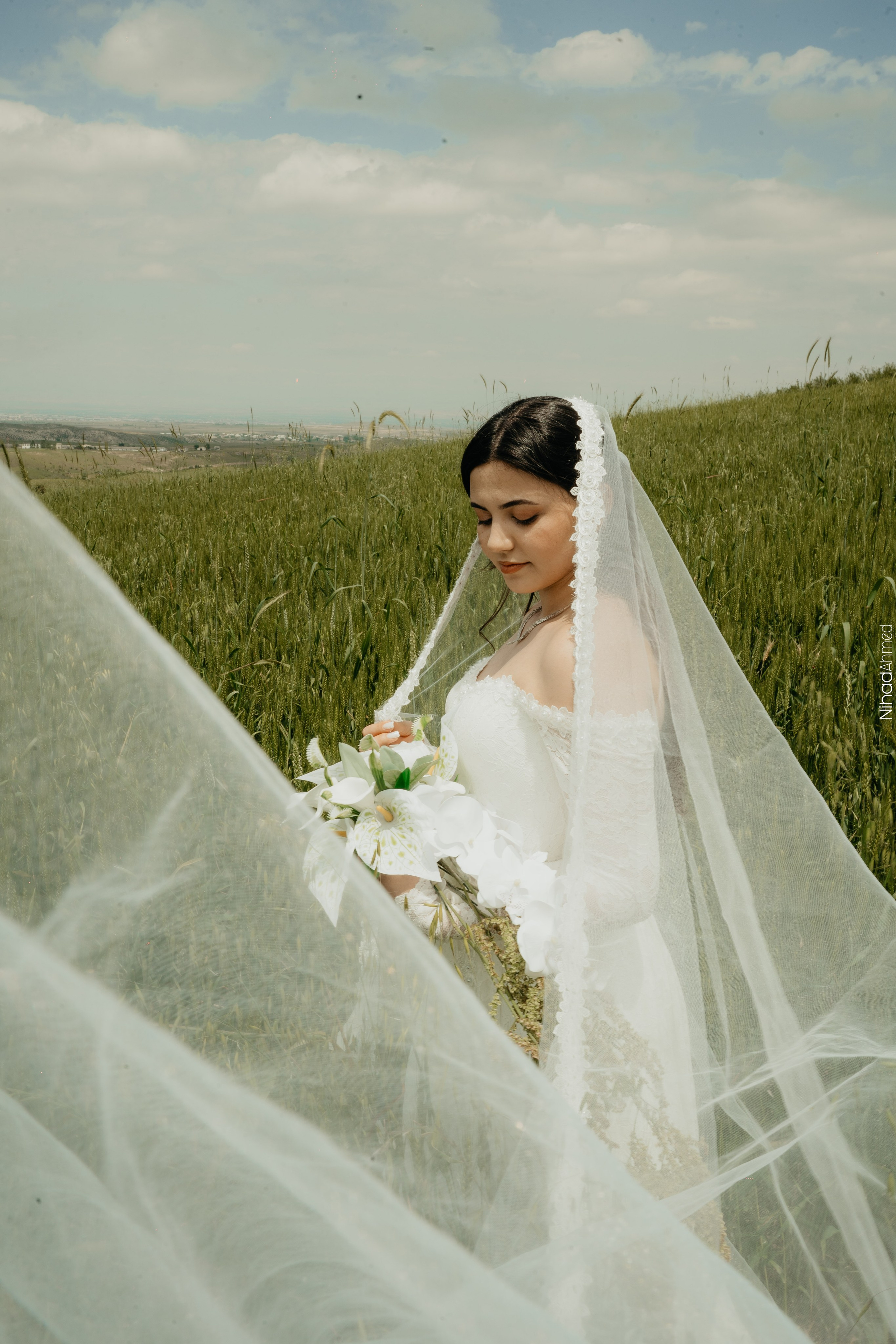 Togrul & Sanem. Nihadahmed
