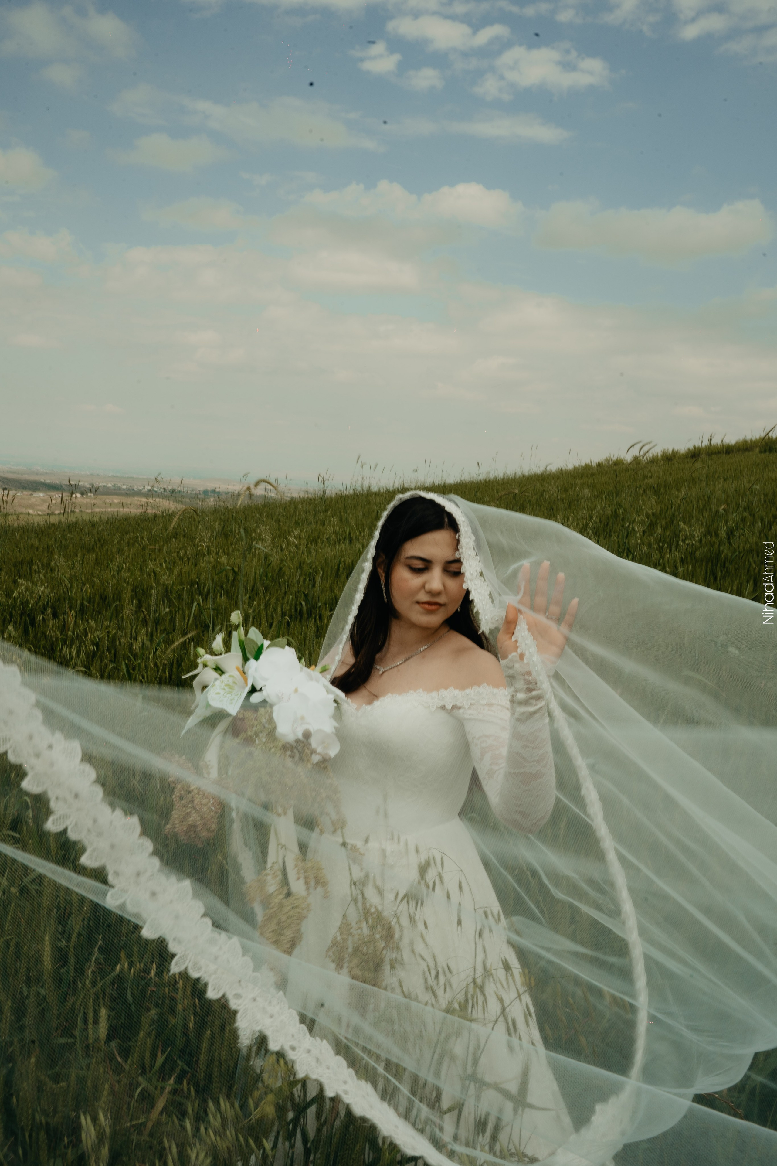 Togrul & Sanem. Nihadahmed