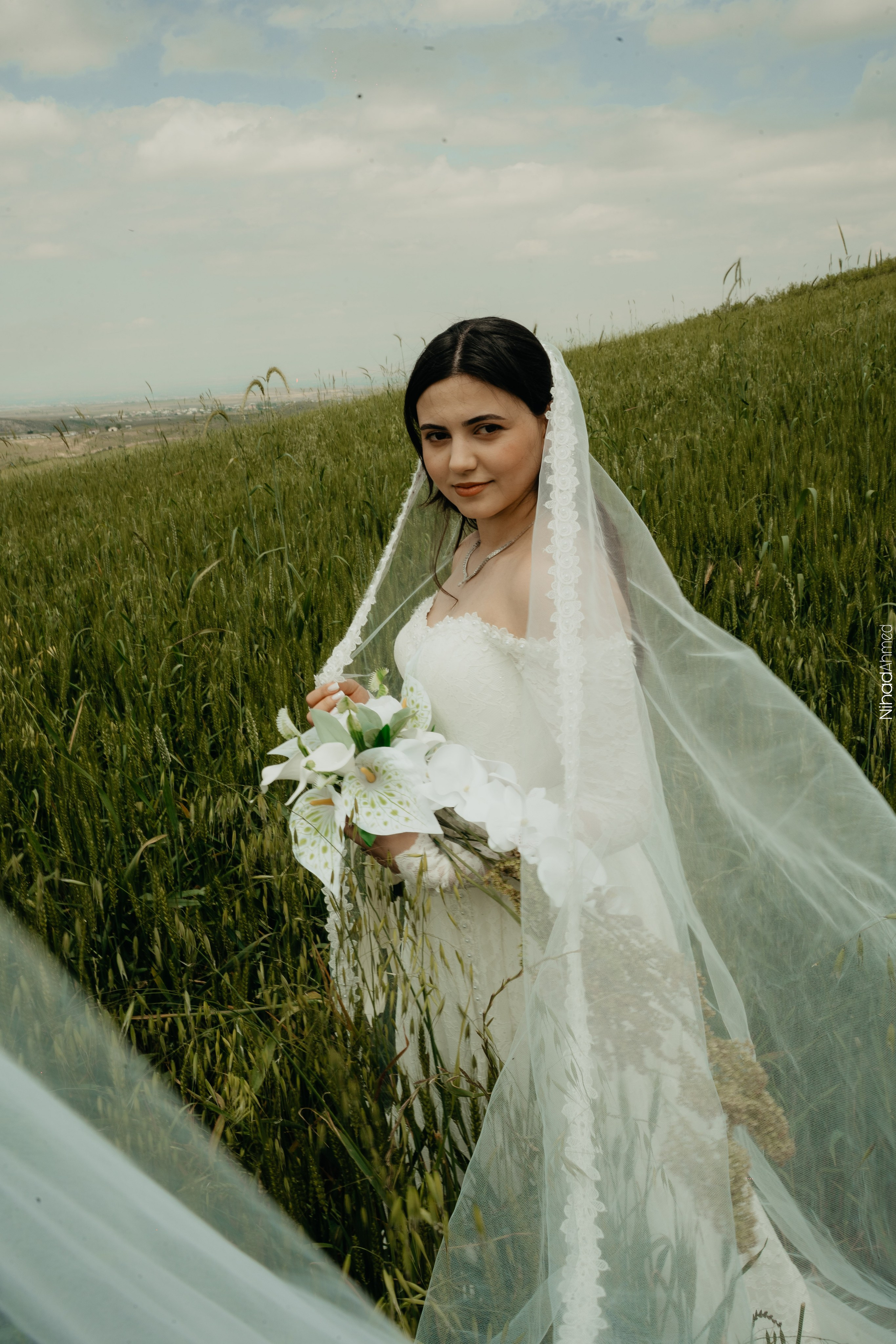Togrul & Sanem. Nihadahmed