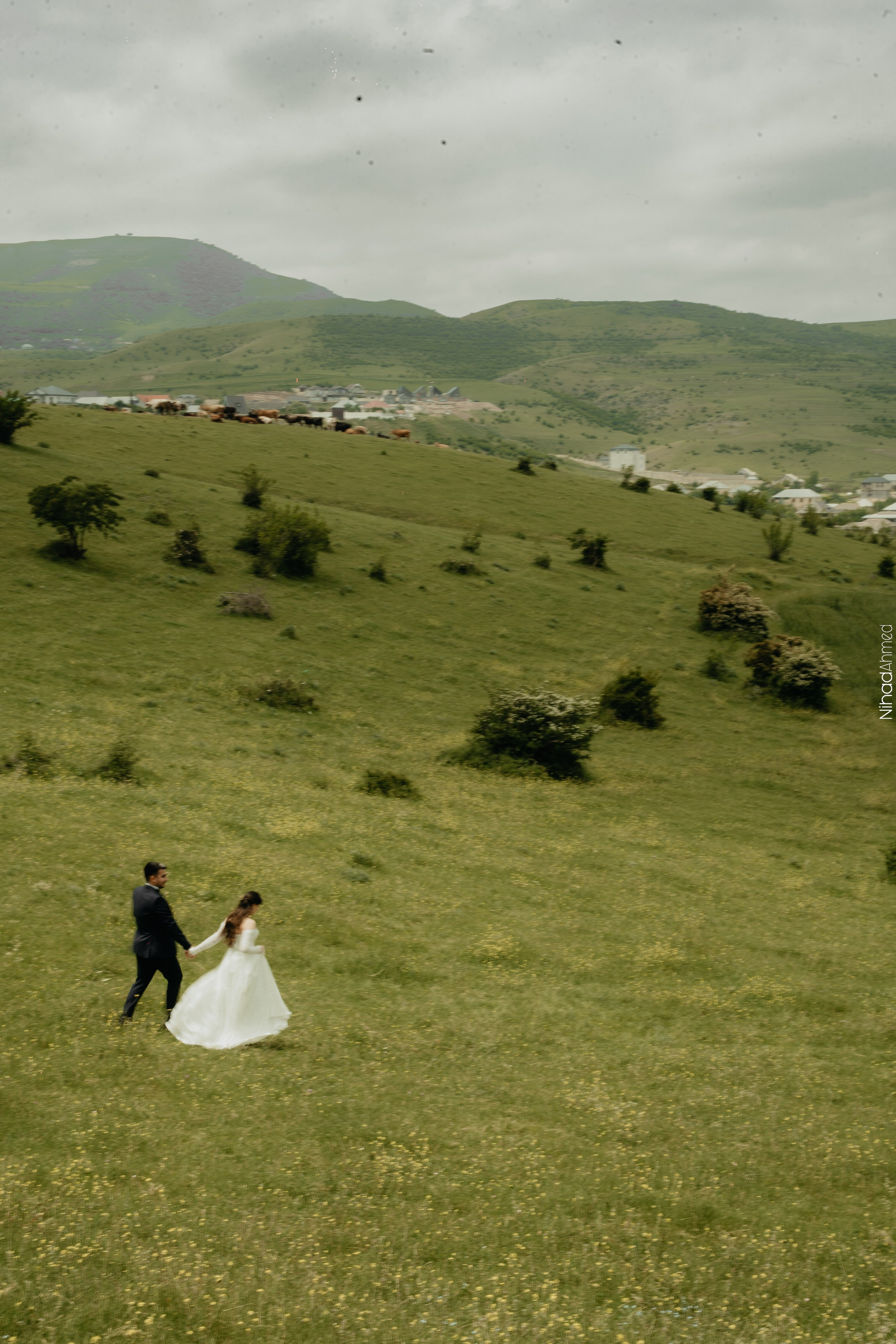 Togrul & Sanem. Nihadahmed