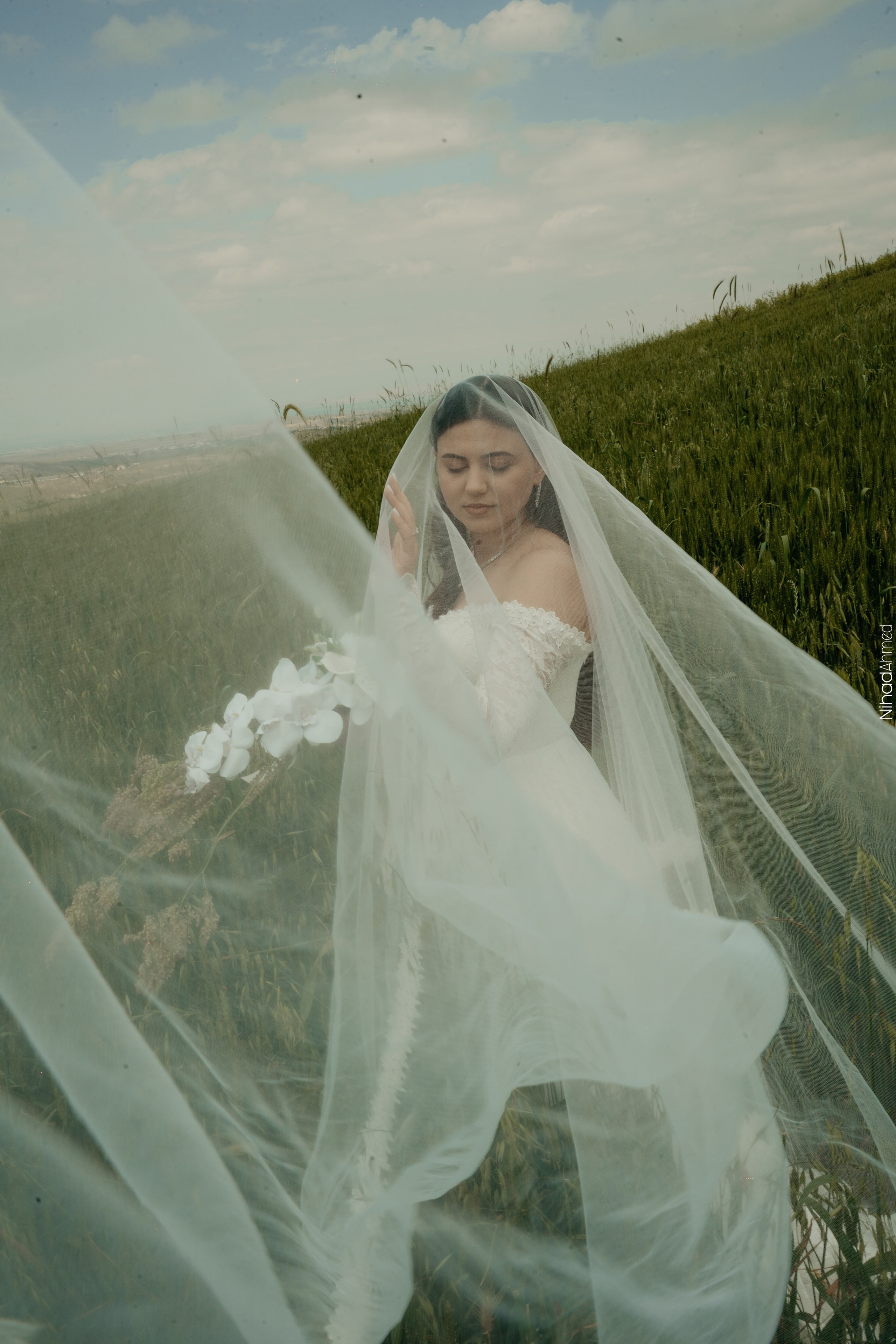 Togrul & Sanem. Nihadahmed