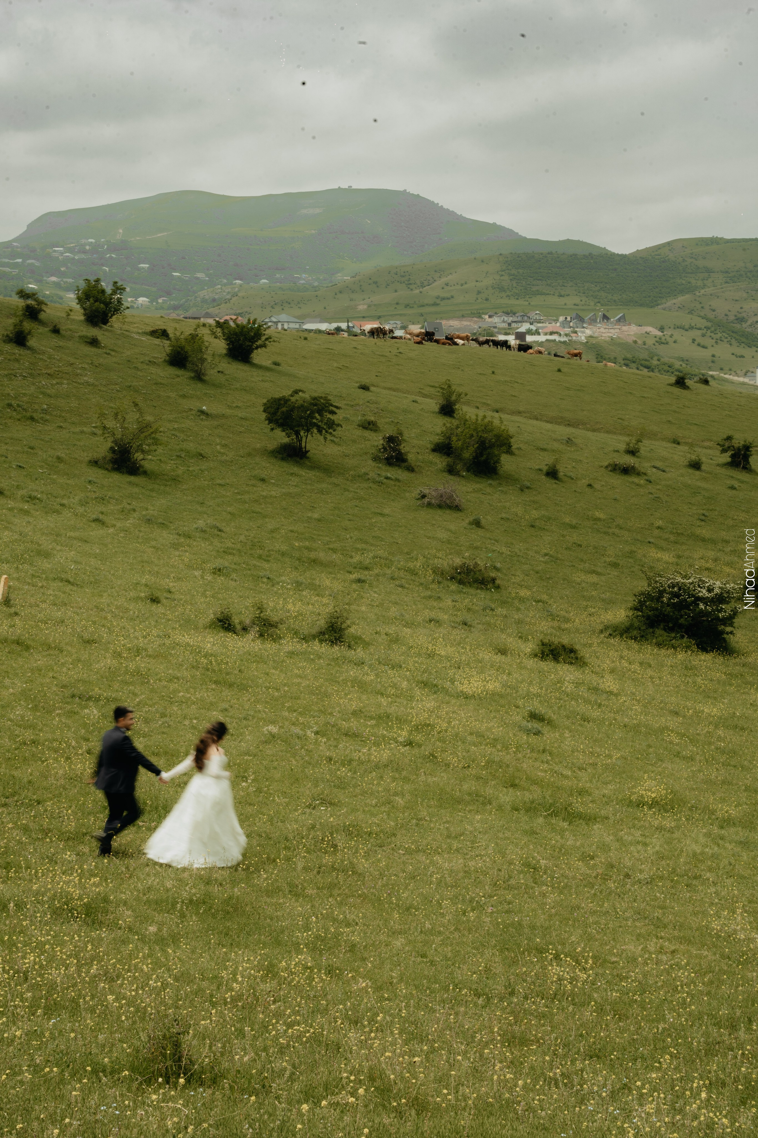 Togrul & Sanem. Nihadahmed