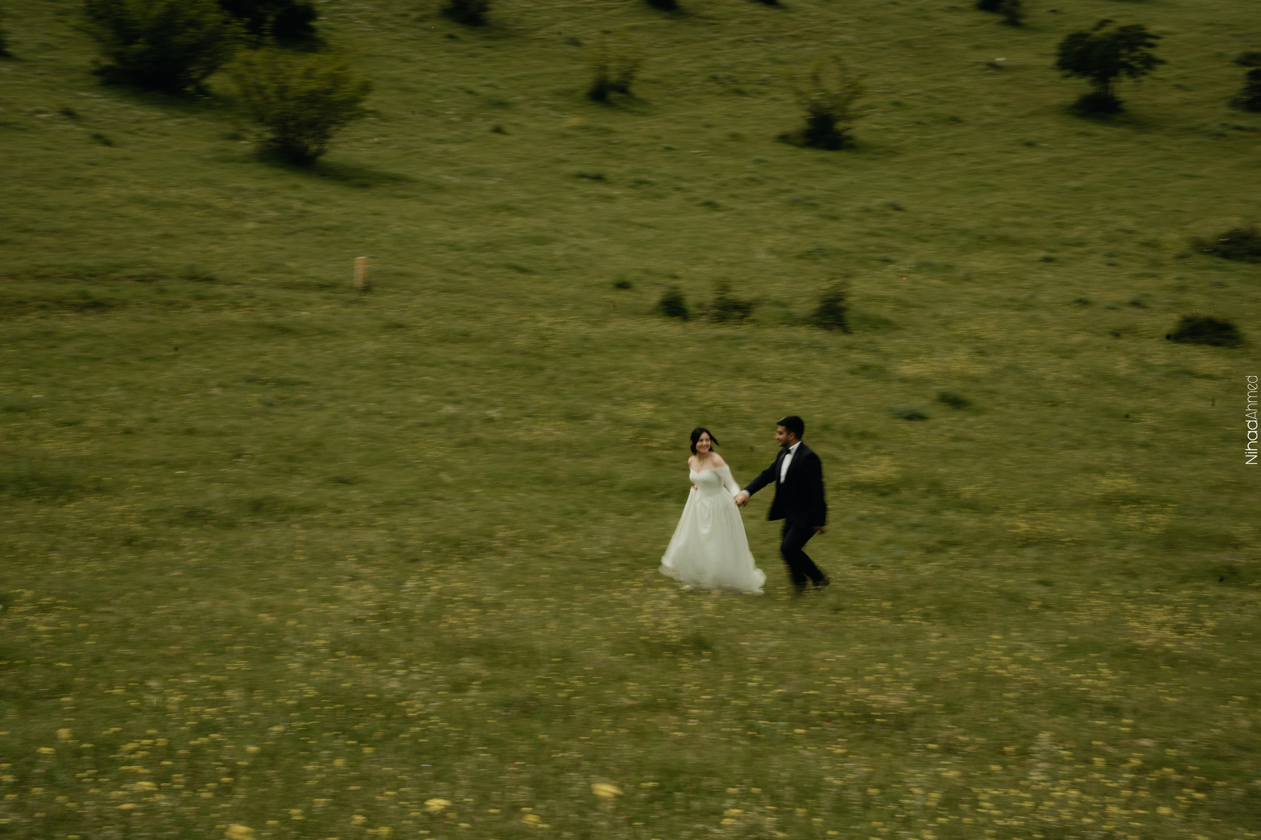 Togrul & Sanem. Nihadahmed