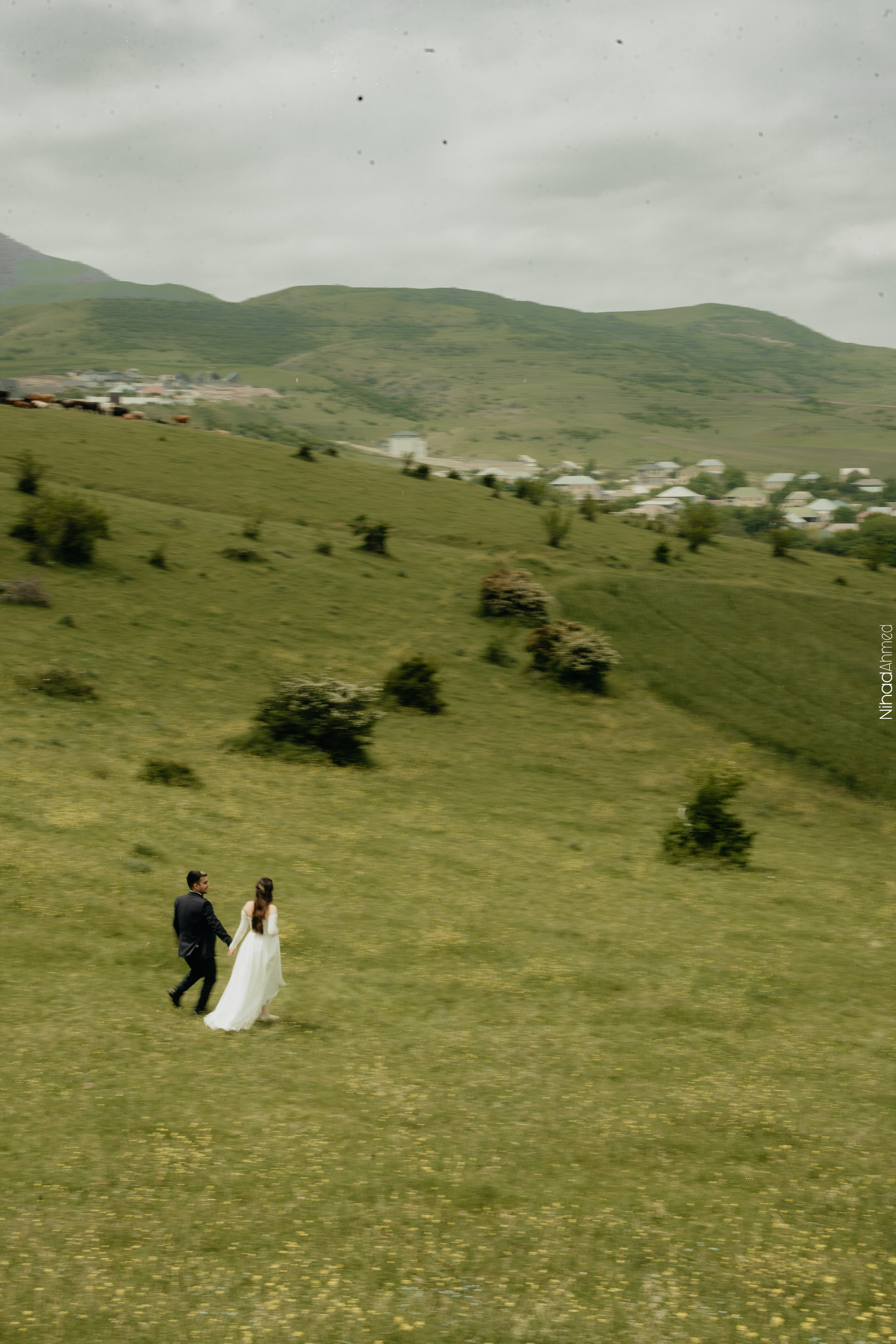 Togrul & Sanem. Nihadahmed