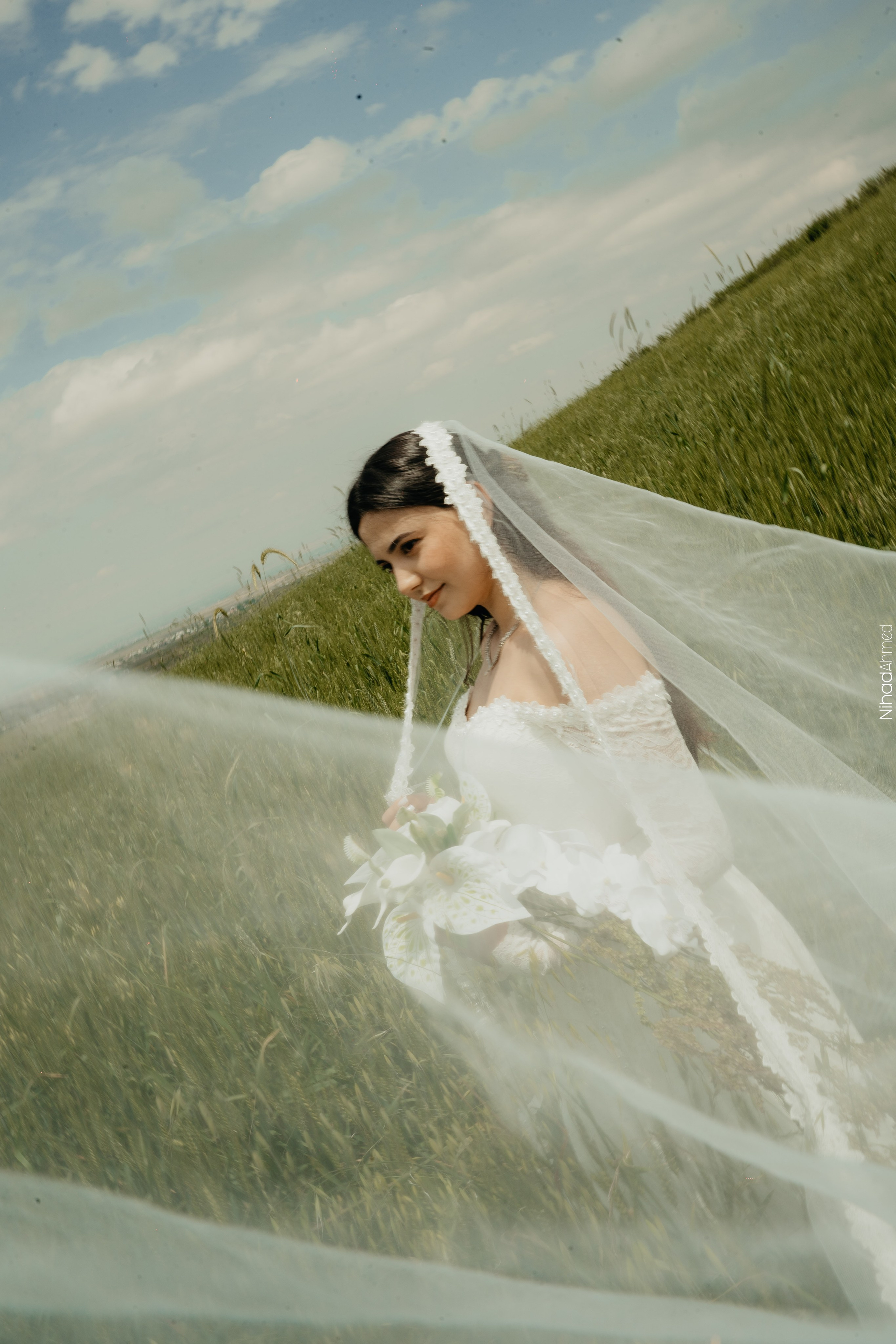 Togrul & Sanem. Nihadahmed