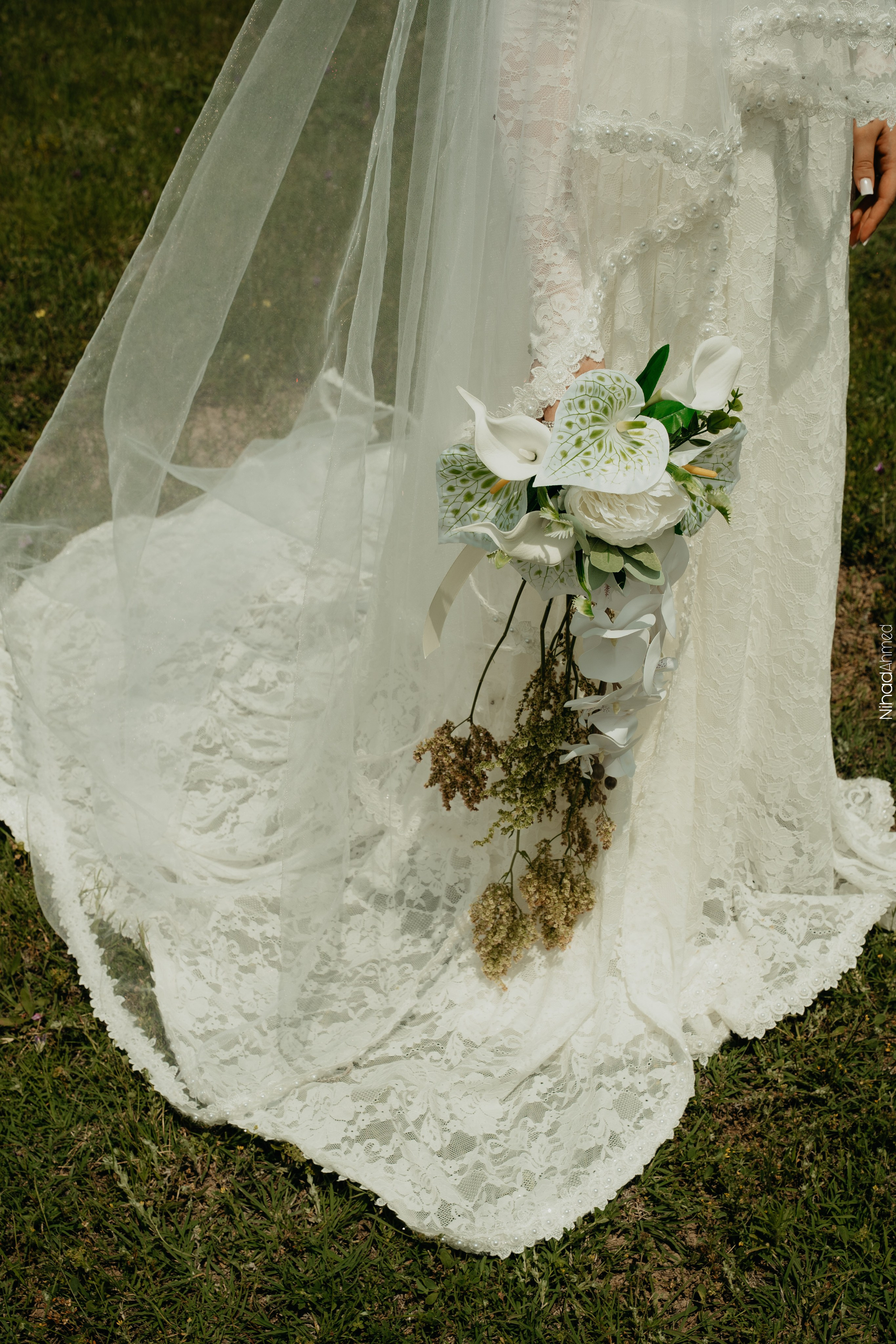 Togrul & Sanem. Nihadahmed