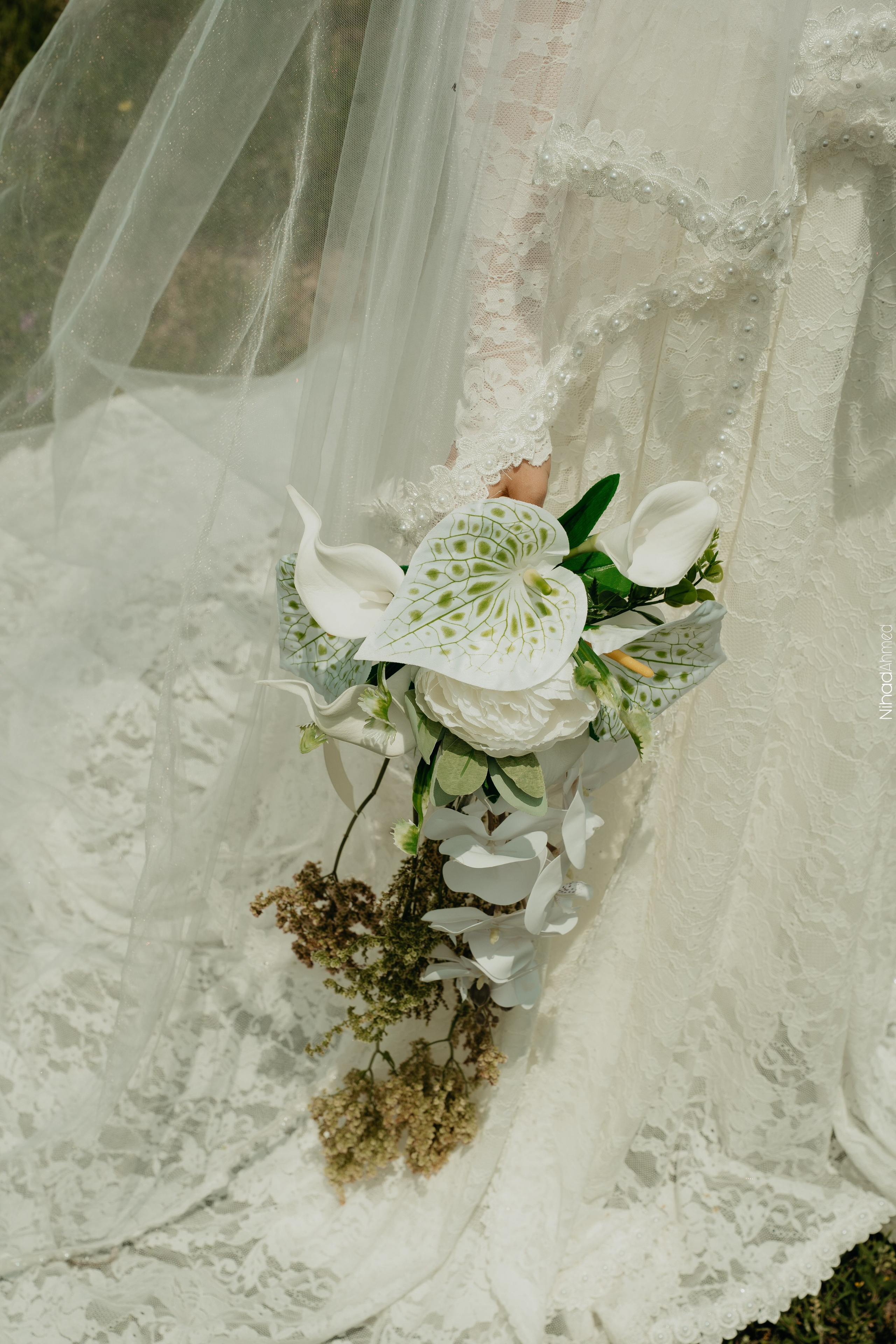 Togrul & Sanem. Nihadahmed