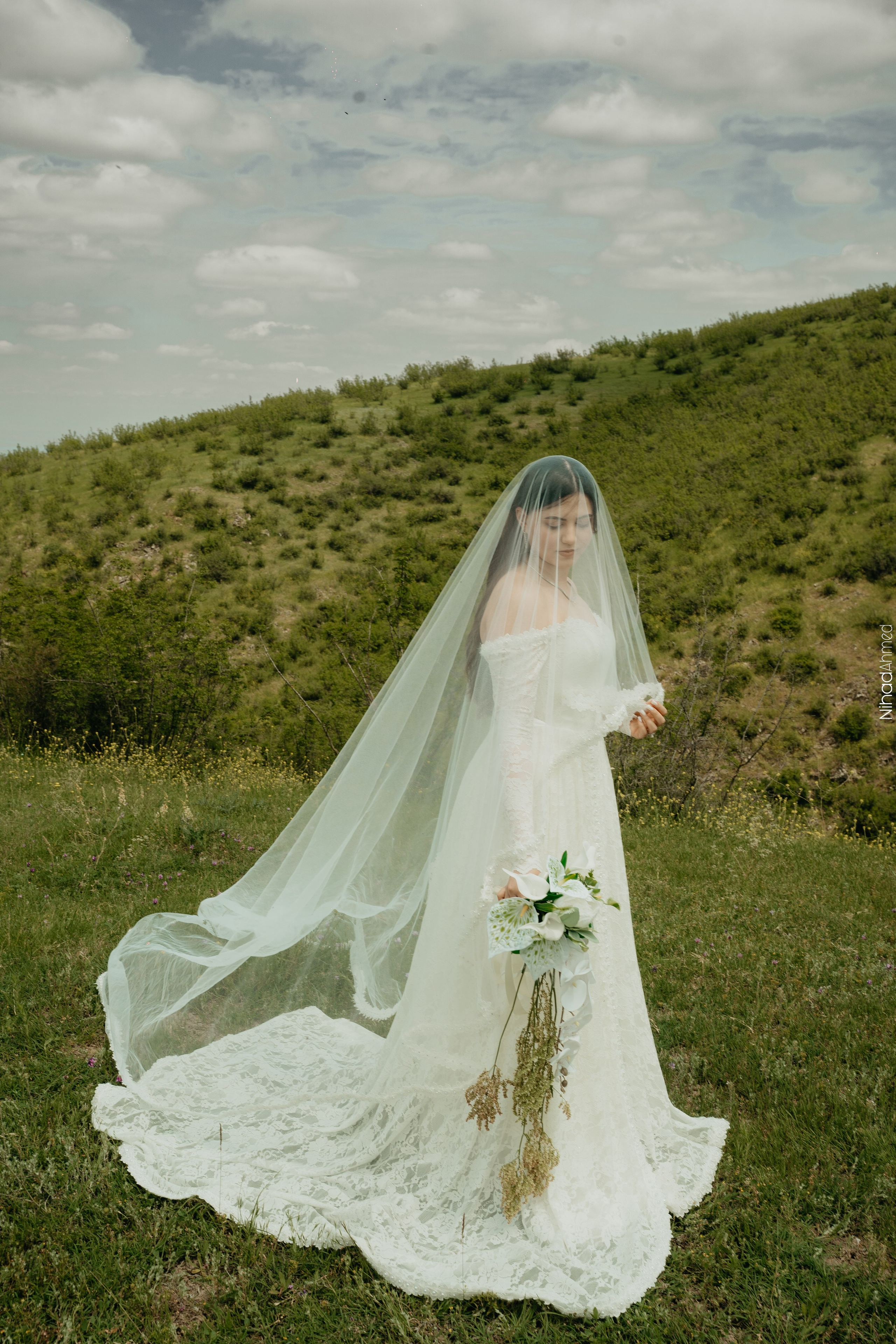 Togrul & Sanem. Nihadahmed