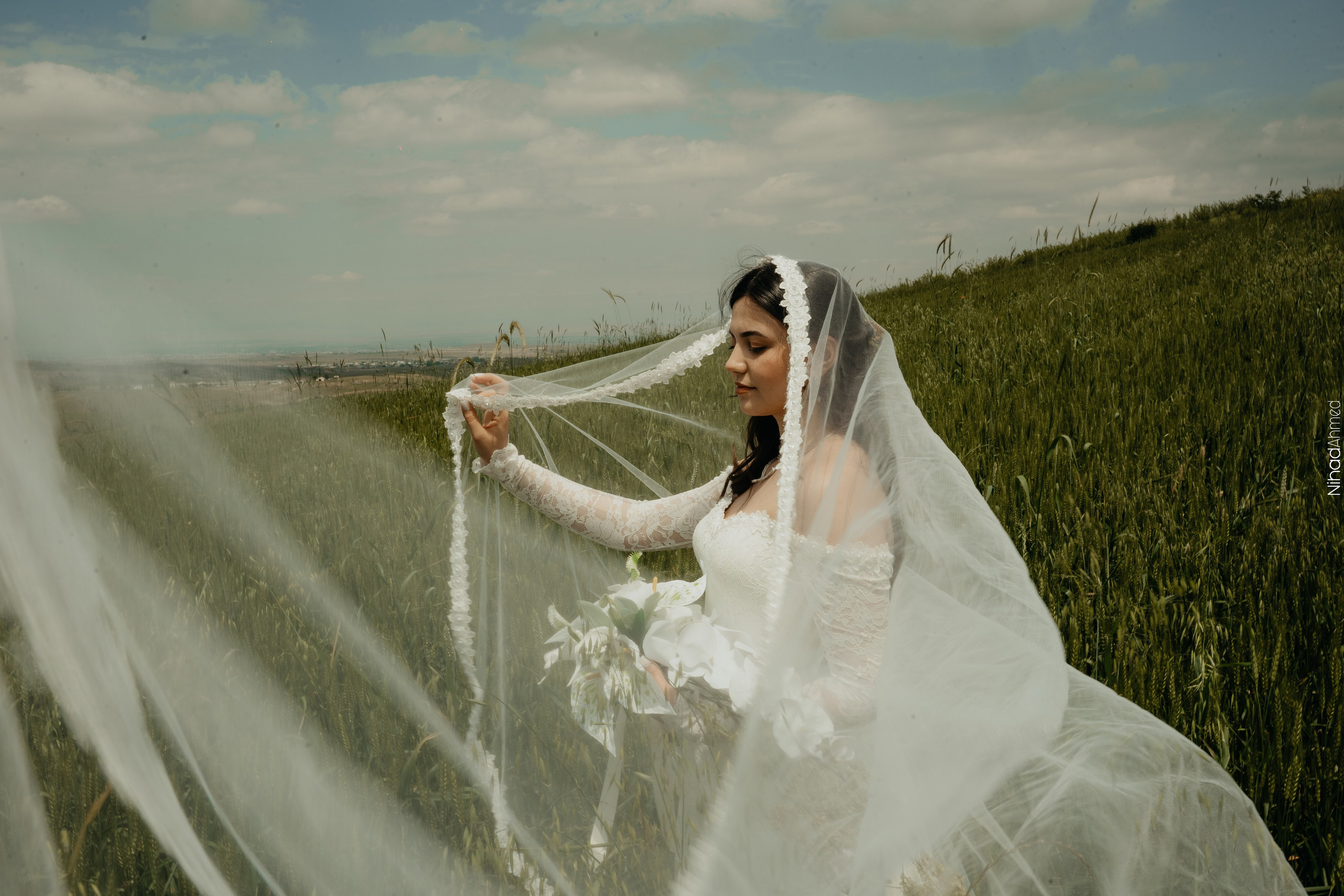 Togrul & Sanem. Nihadahmed