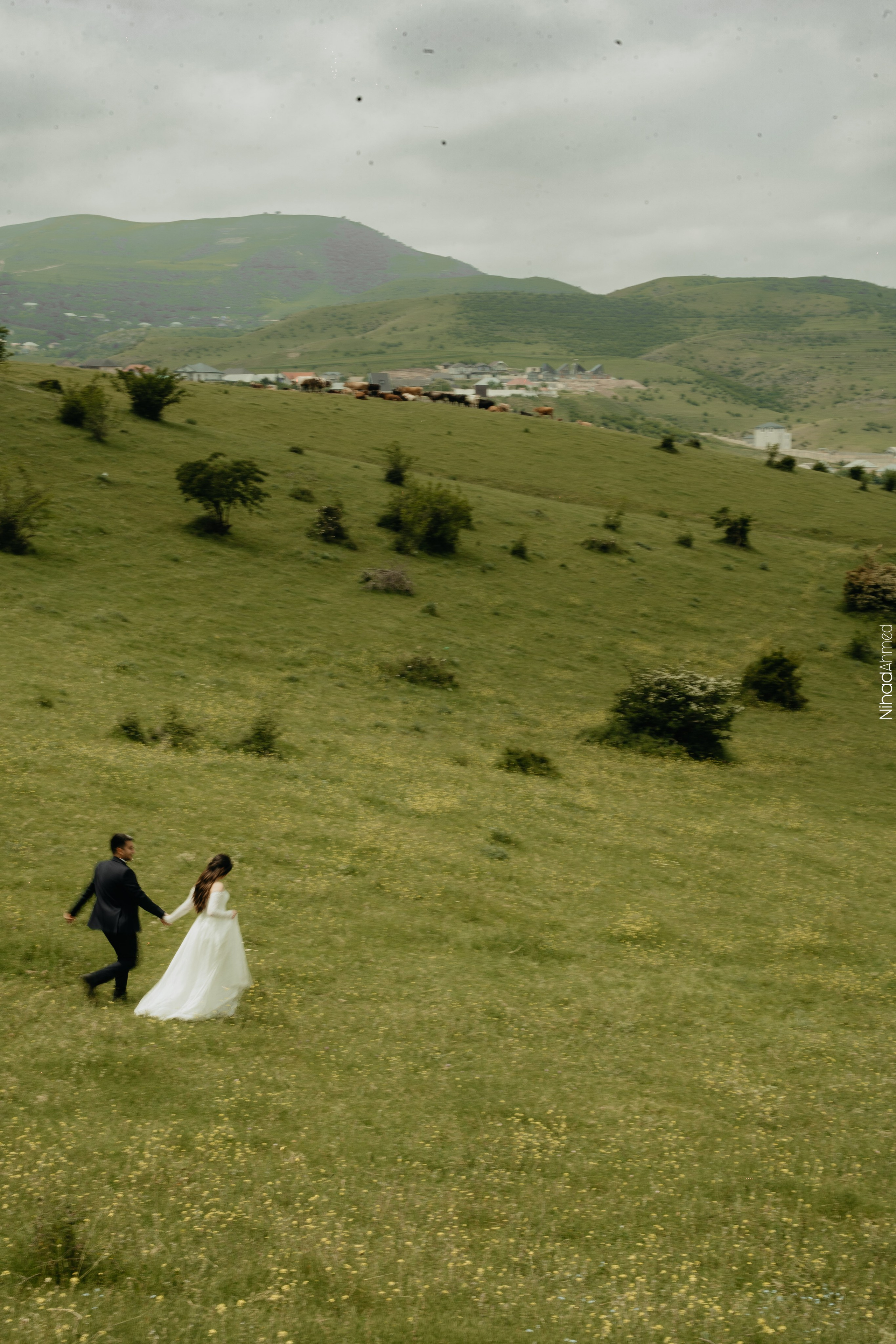 Togrul & Sanem. Nihadahmed