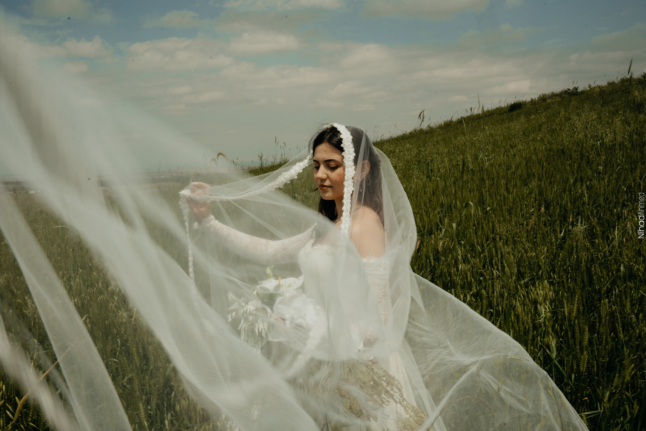 Togrul & Sanem. Nihadahmed