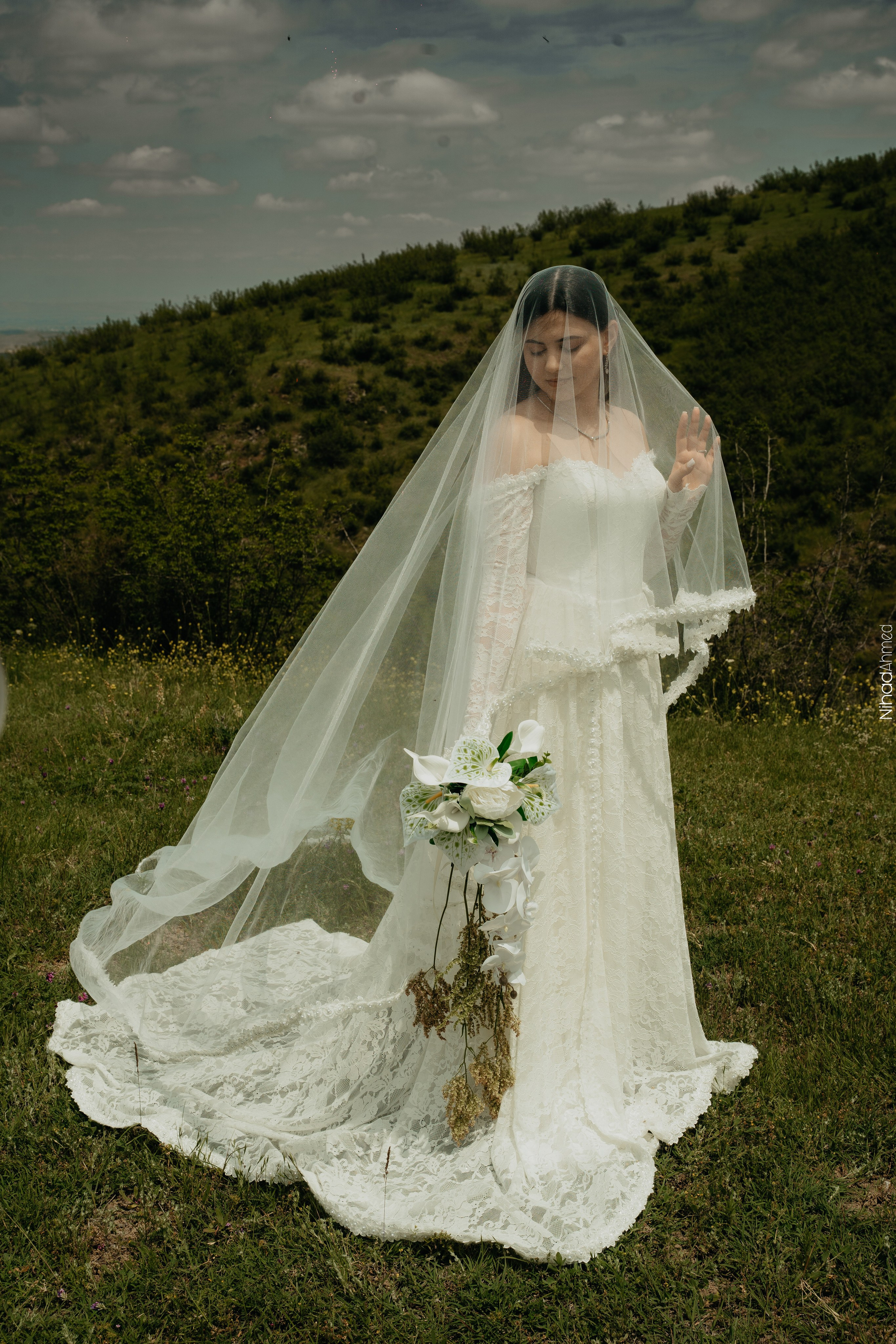 Togrul & Sanem. Nihadahmed
