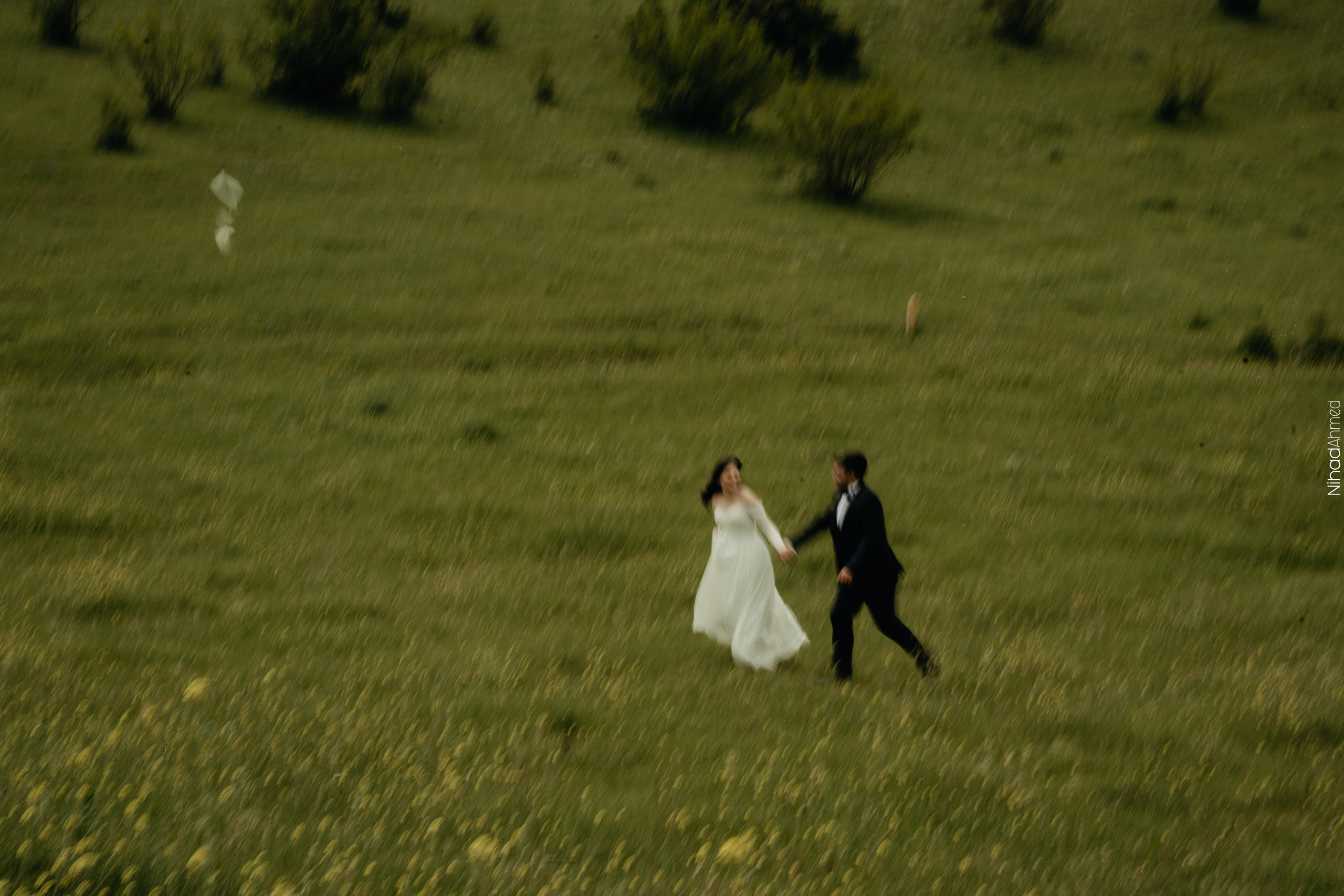 Togrul & Sanem. Nihadahmed