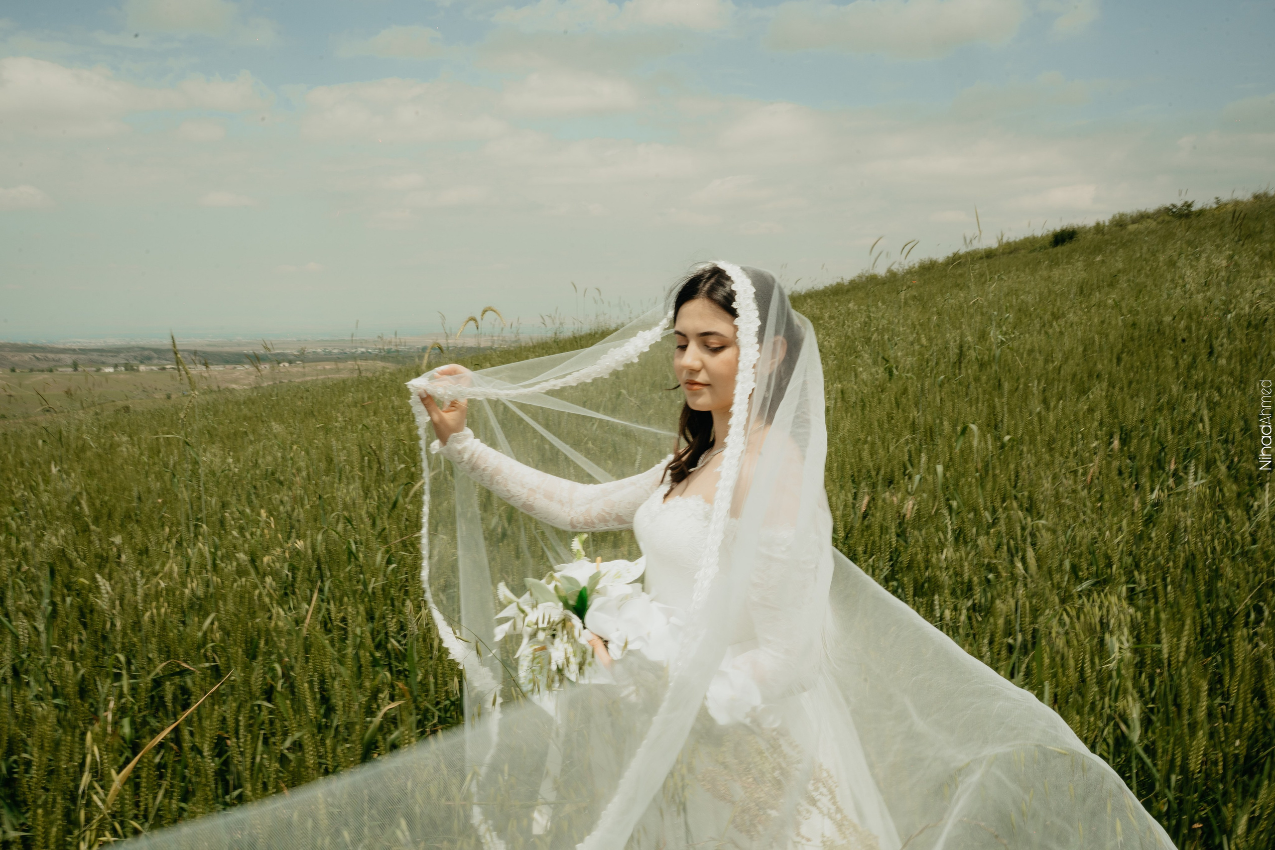 Togrul & Sanem. Nihadahmed