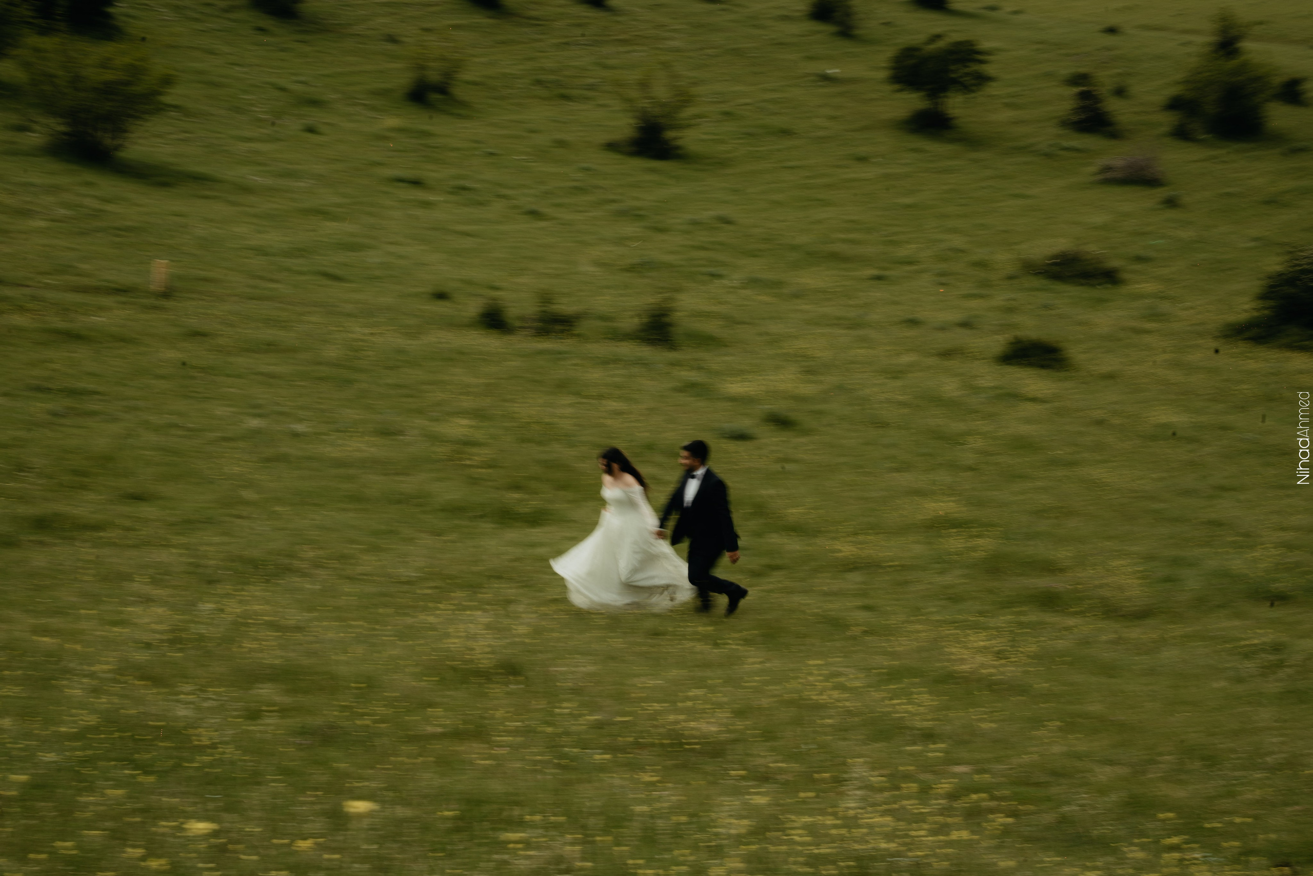 Togrul & Sanem. Nihadahmed