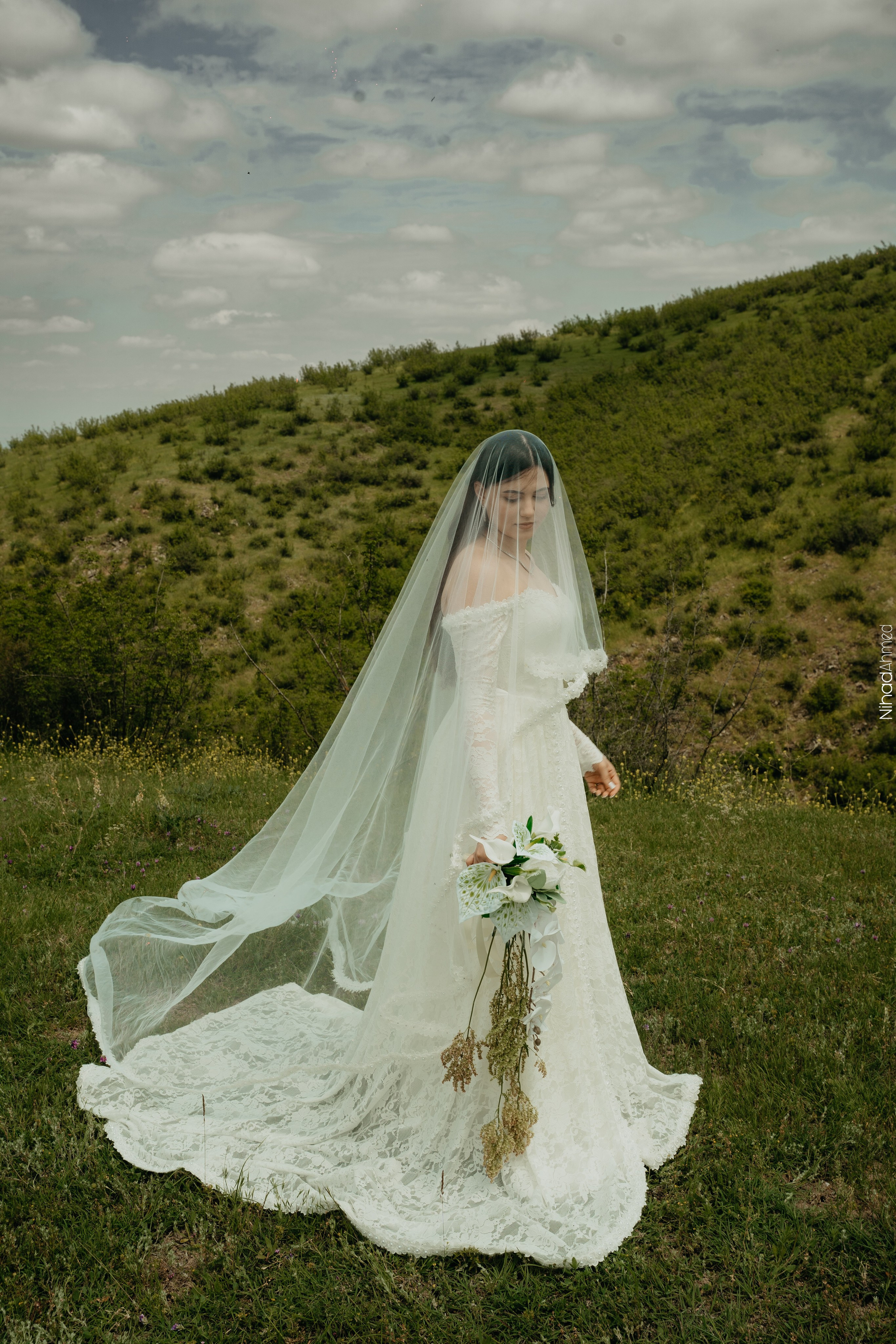 Togrul & Sanem. Nihadahmed