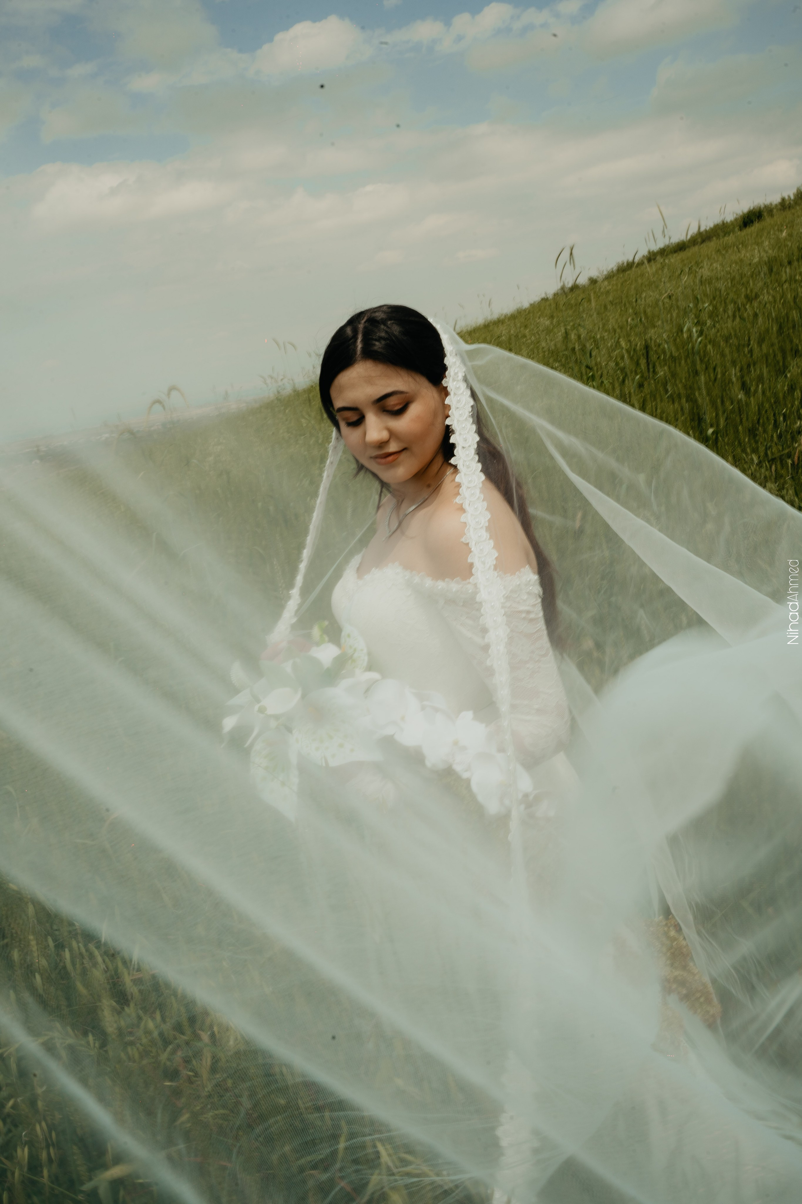 Togrul & Sanem. Nihadahmed