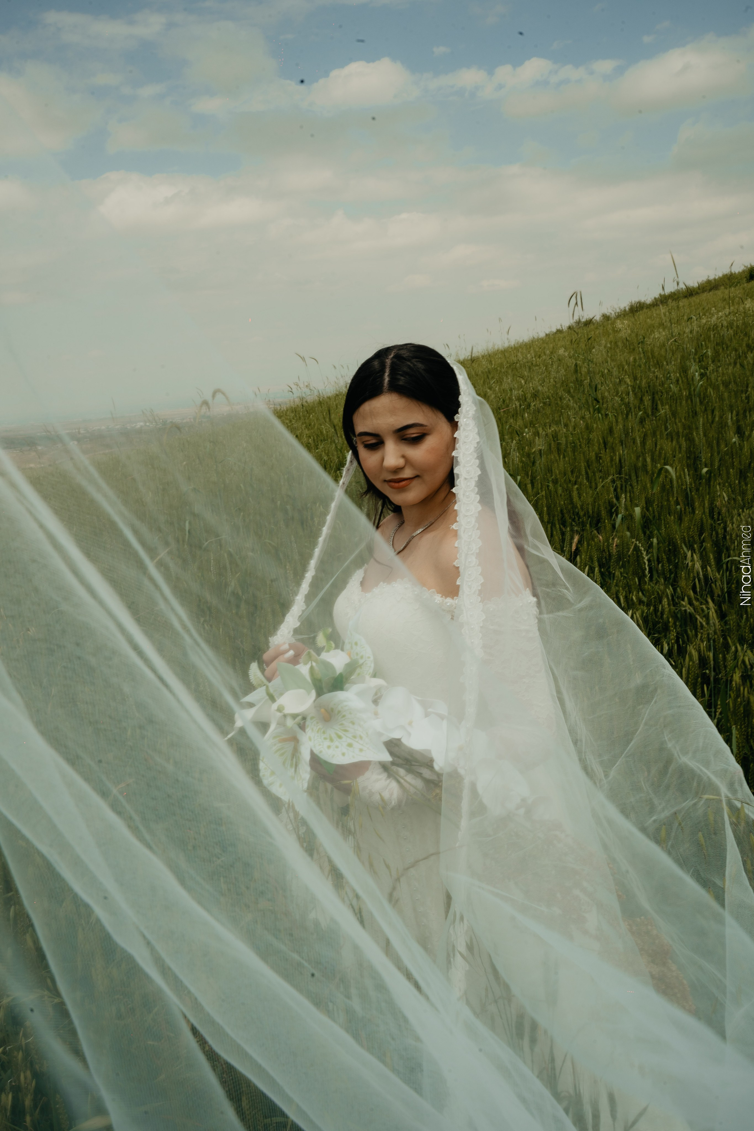Togrul & Sanem. Nihadahmed