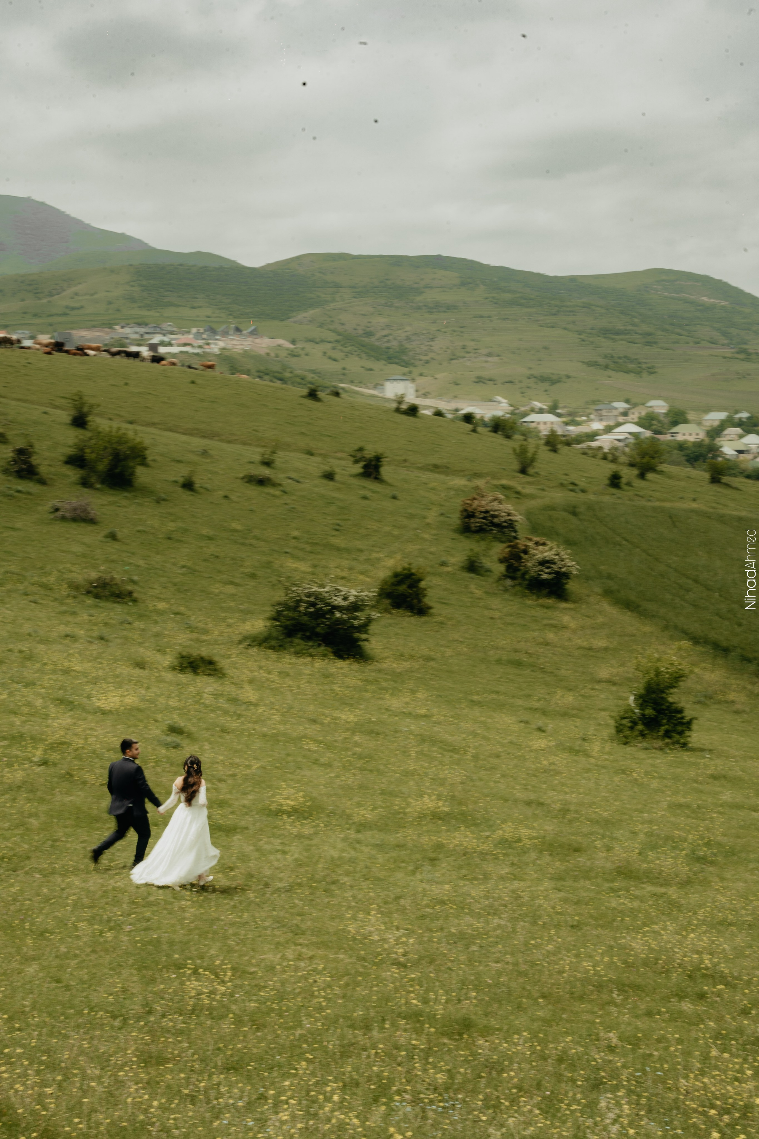 Togrul & Sanem. Nihadahmed