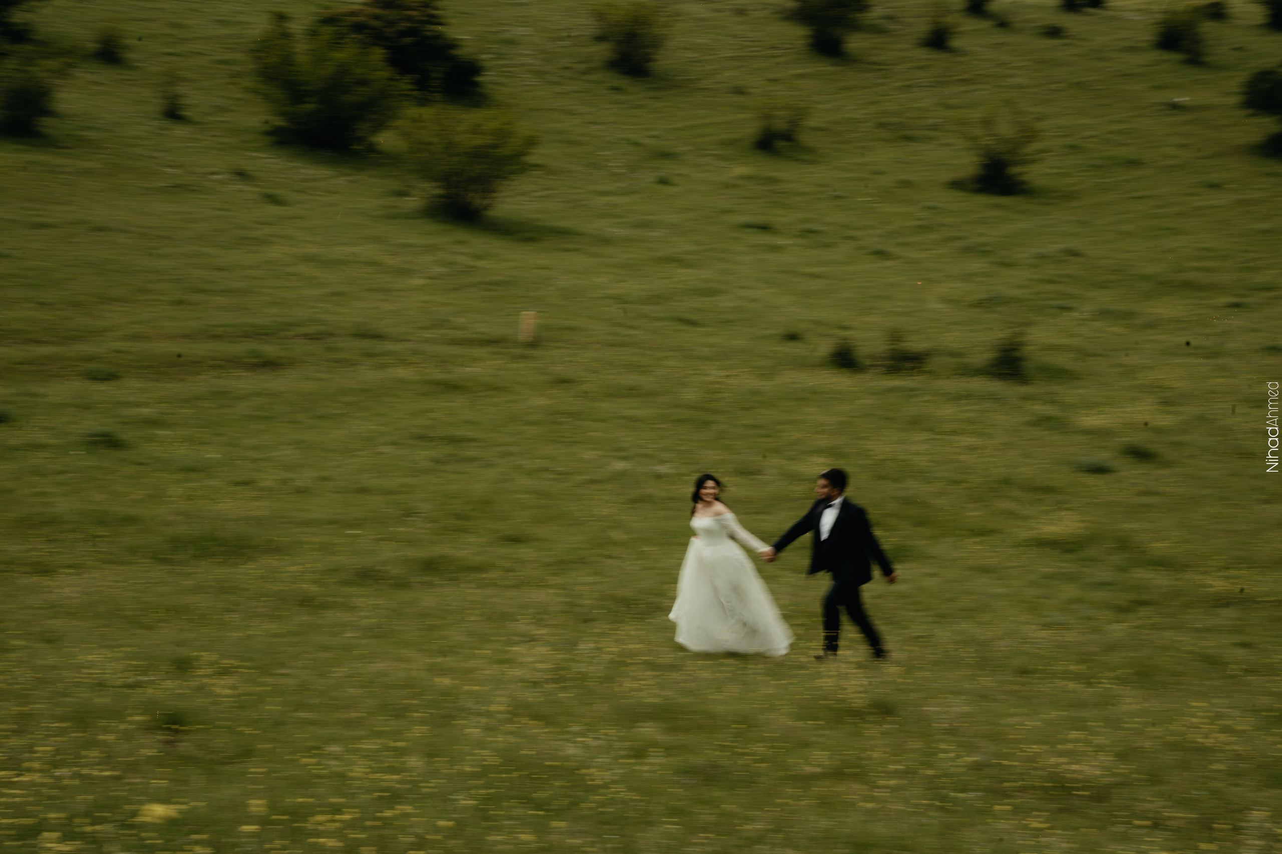 Togrul & Sanem. Nihadahmed