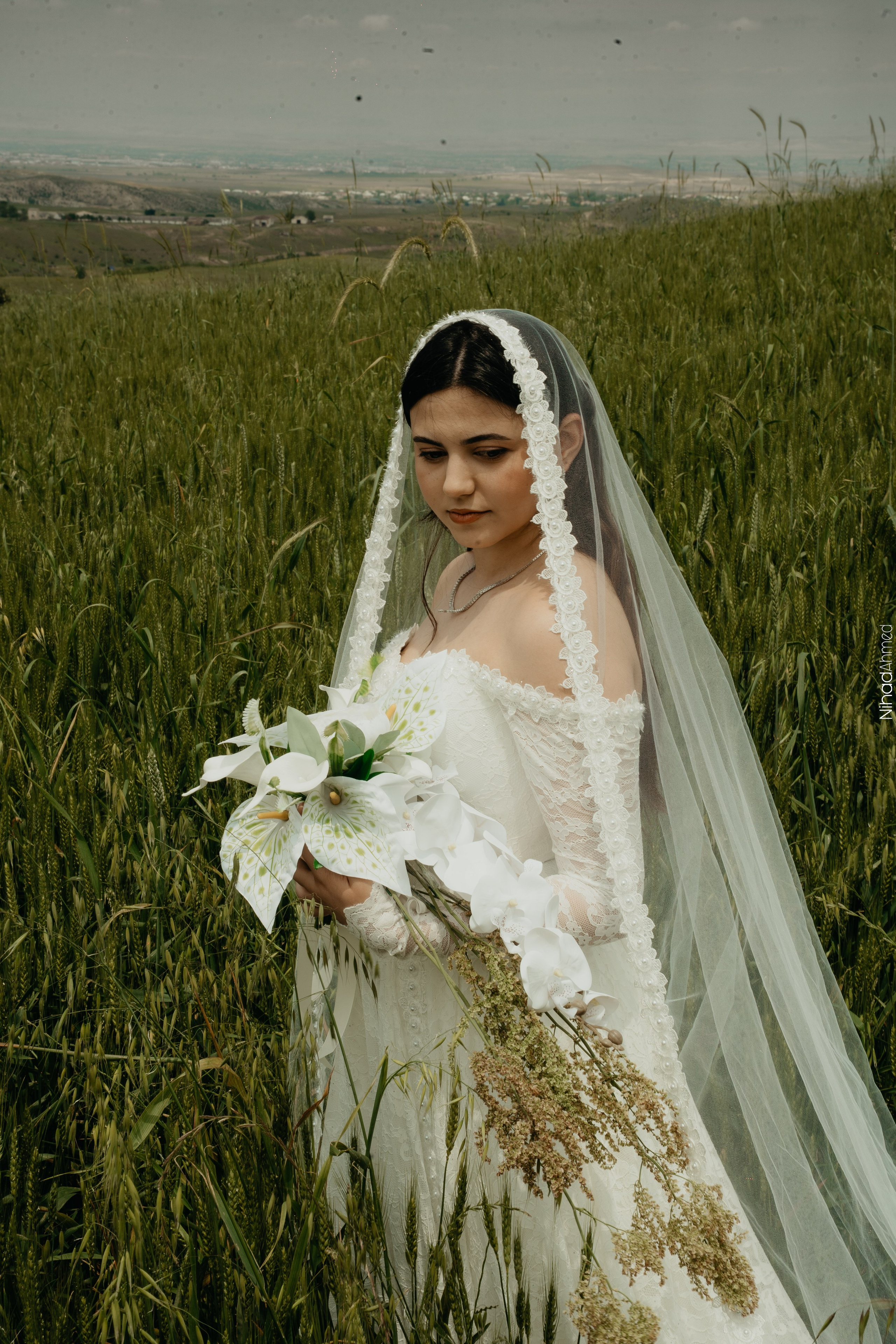 Togrul & Sanem. Nihadahmed