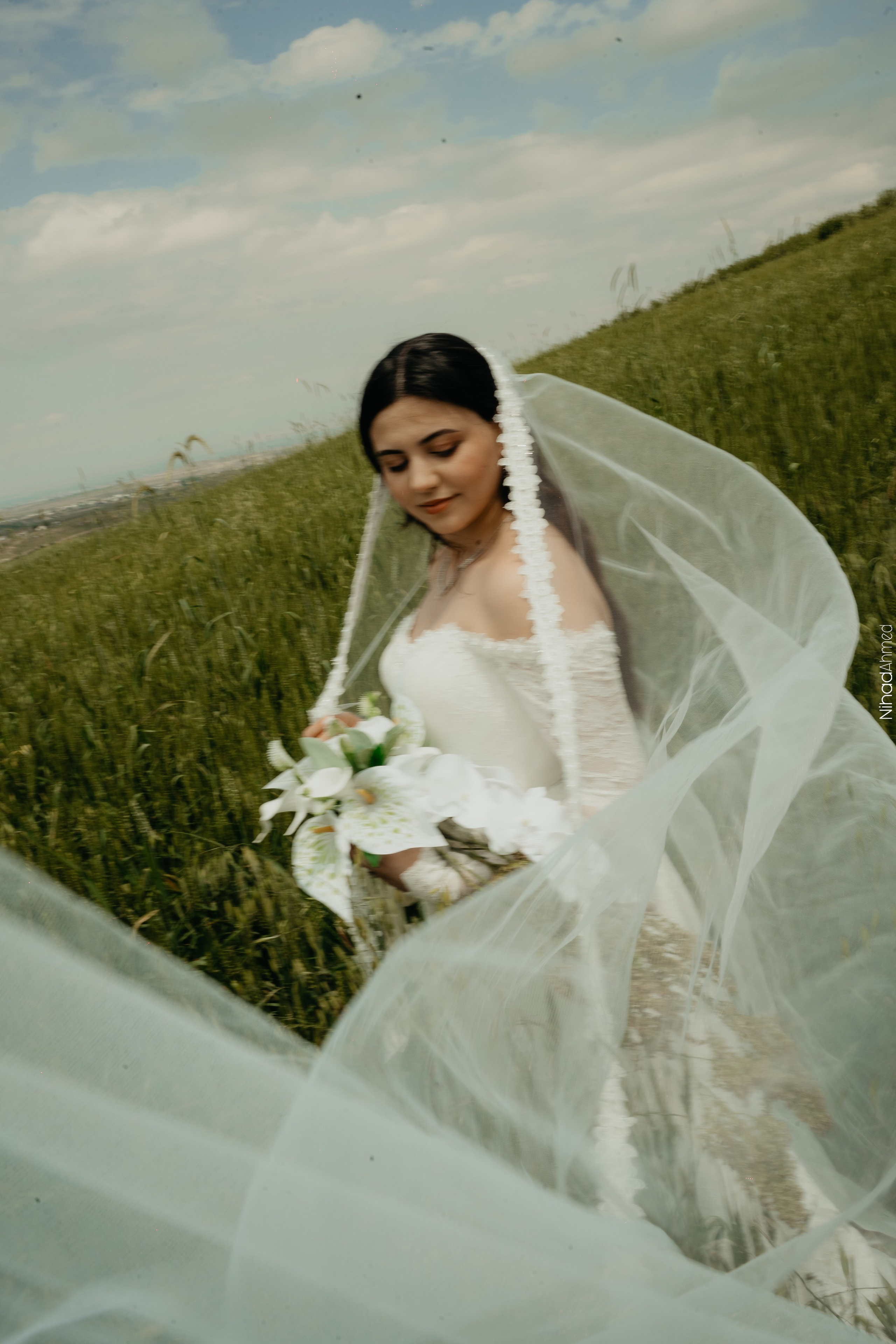 Togrul & Sanem. Nihadahmed