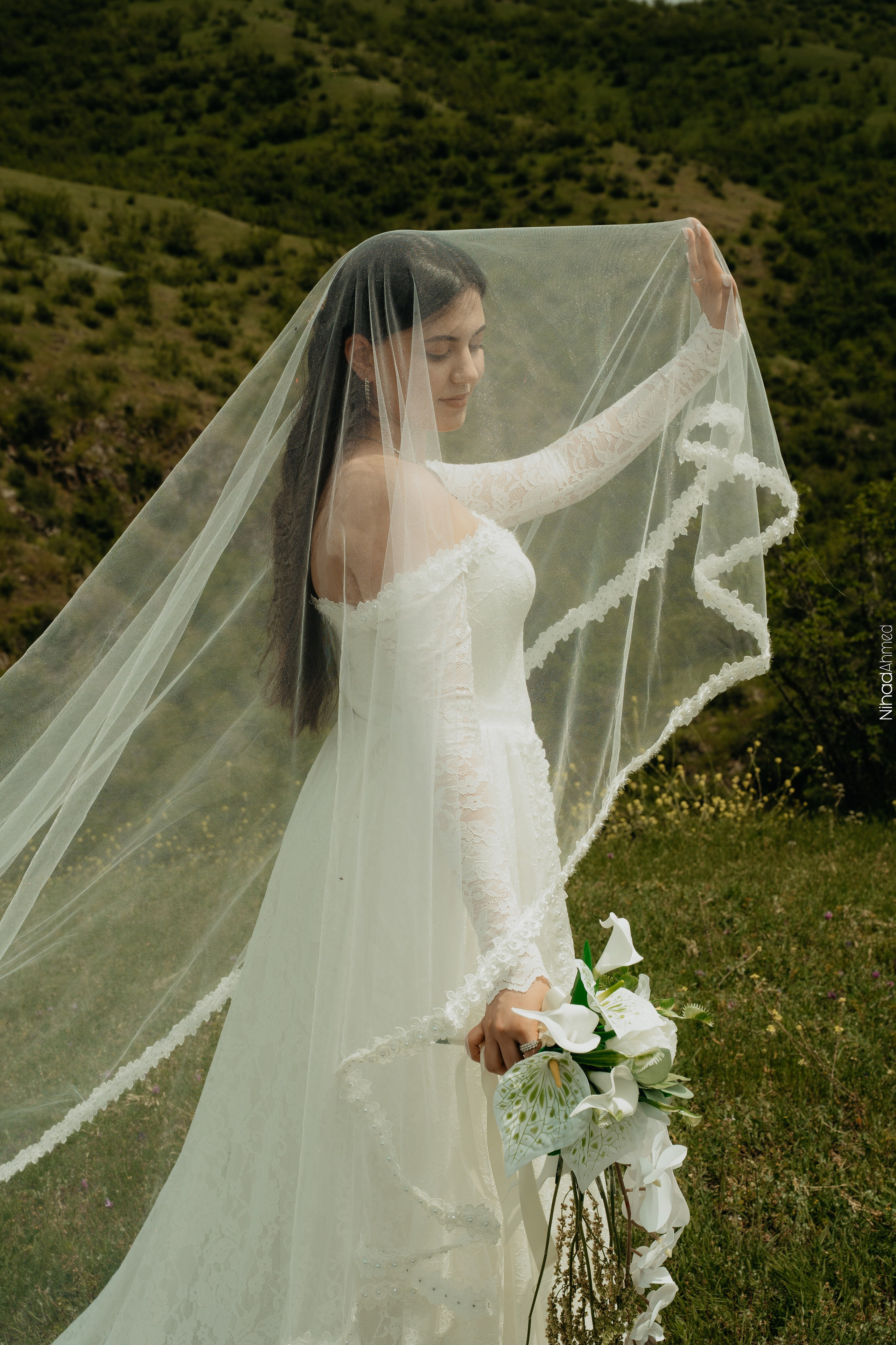 Togrul & Sanem. Nihadahmed