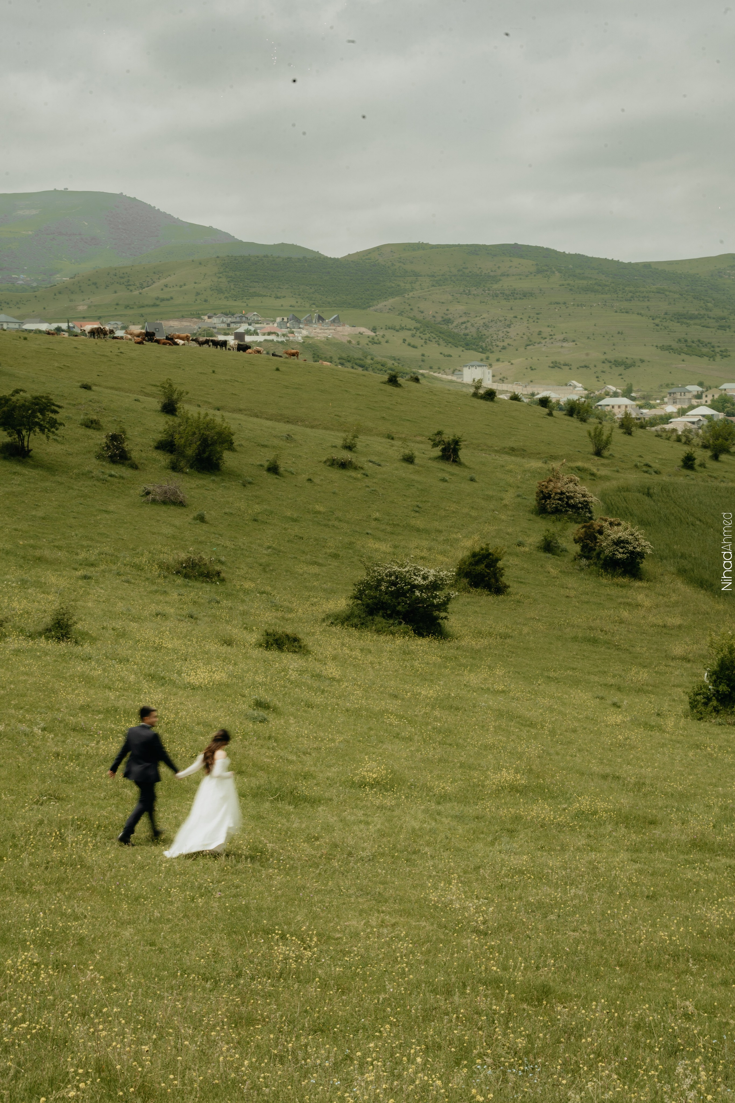 Togrul & Sanem. Nihadahmed