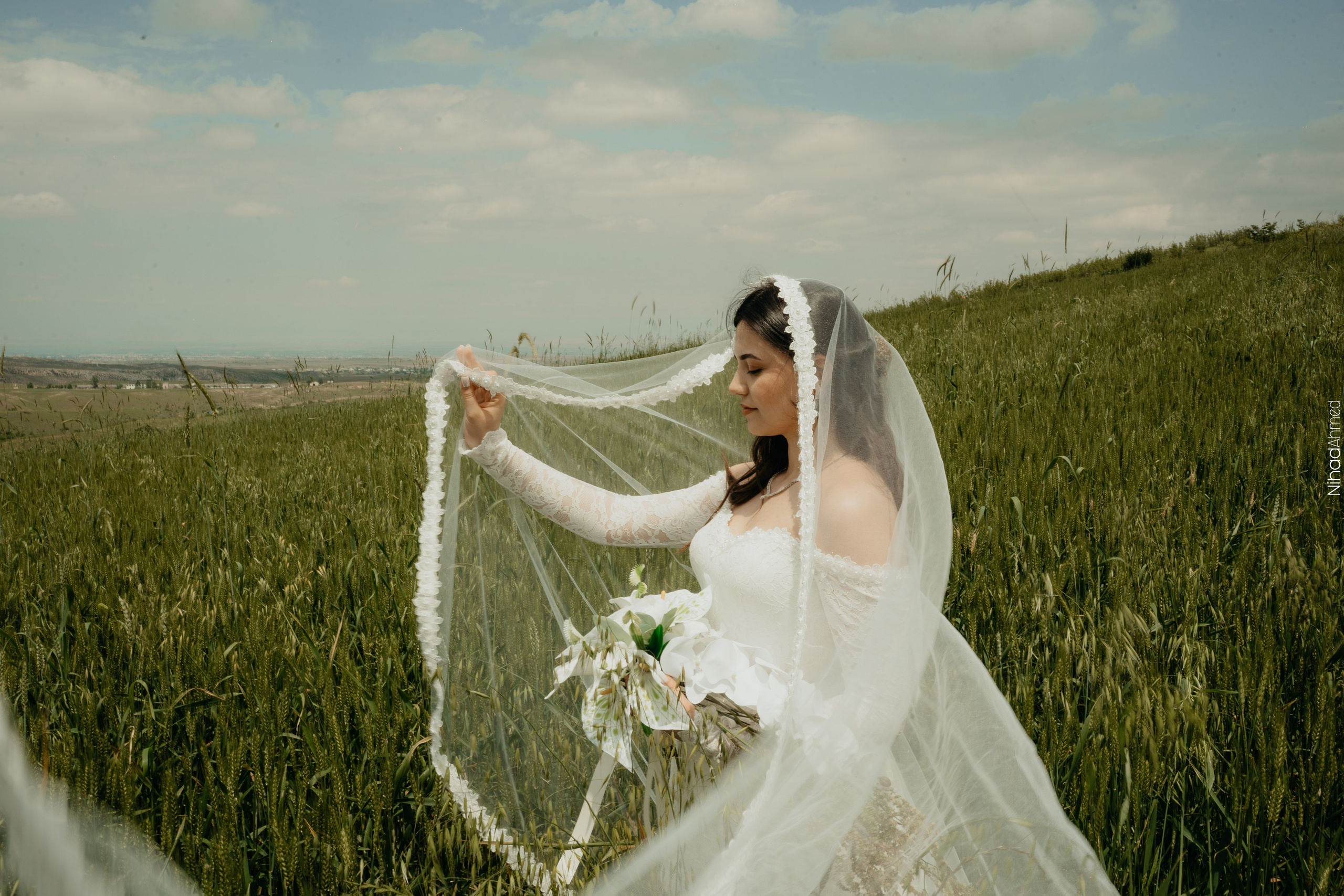 Togrul & Sanem. Nihadahmed