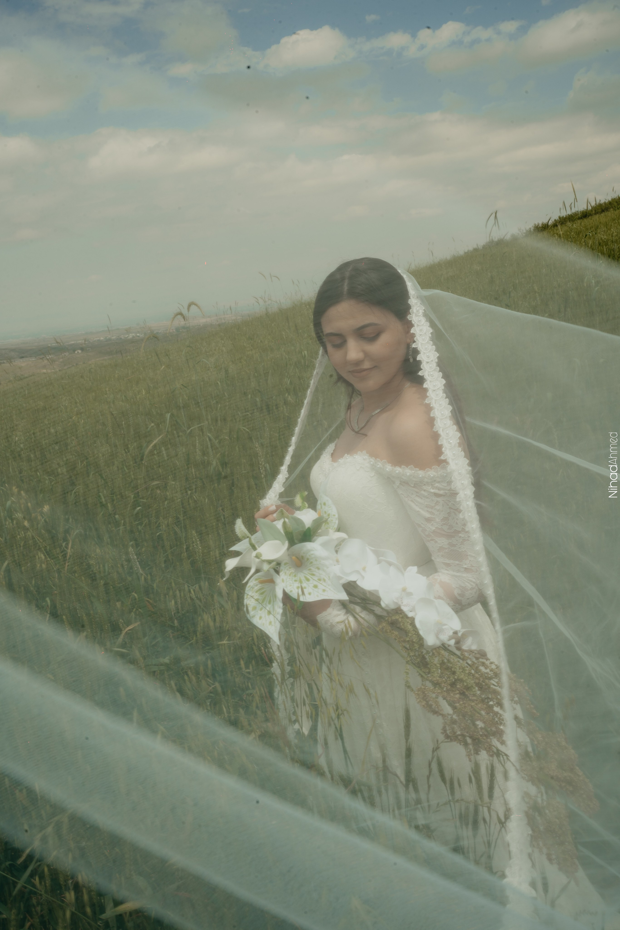 Togrul & Sanem. Nihadahmed