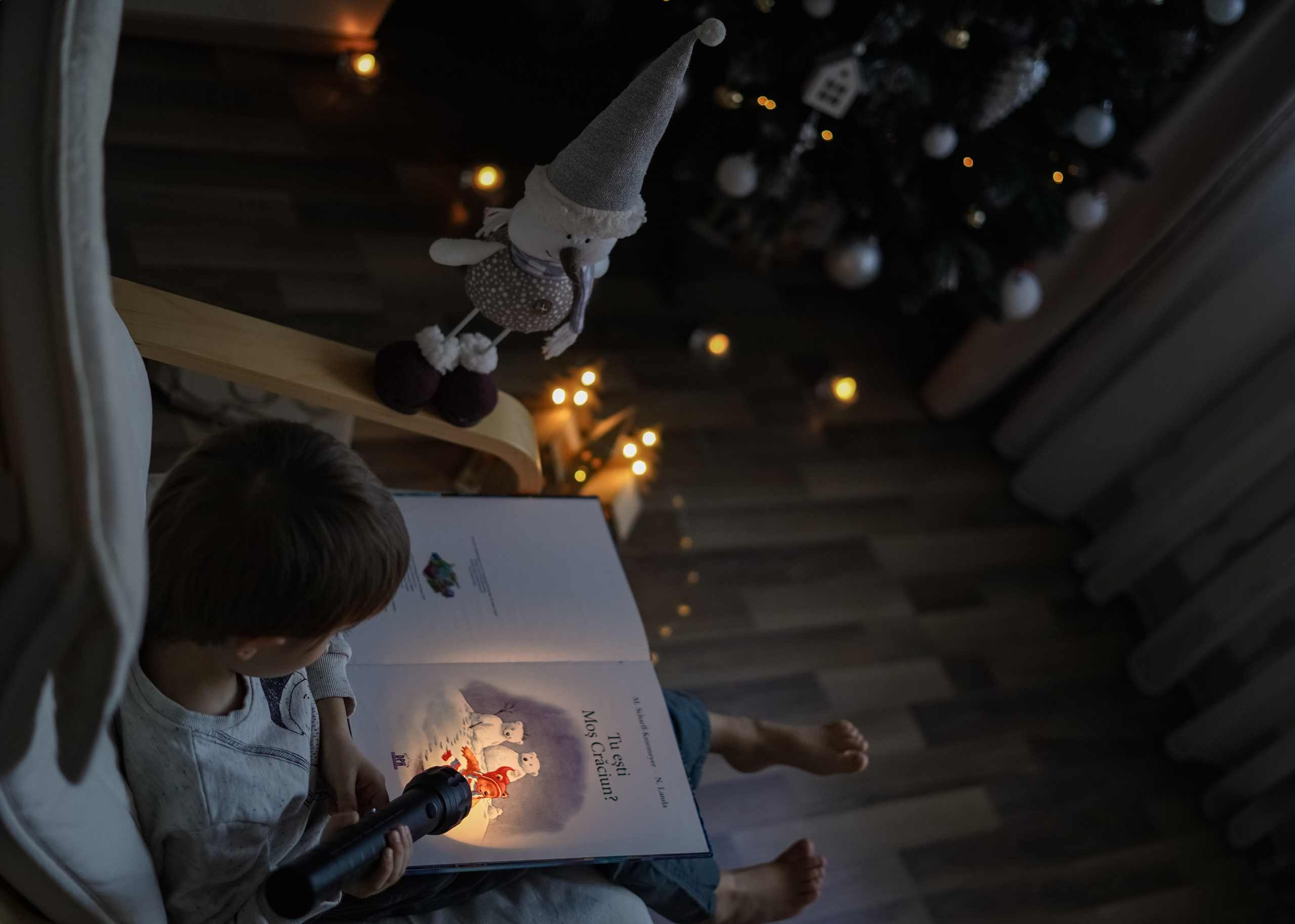 Famille. Photographe Portraitiste et Spécialiste en Photographie de Famille et Mariages — Région de Lille, Valenciennes