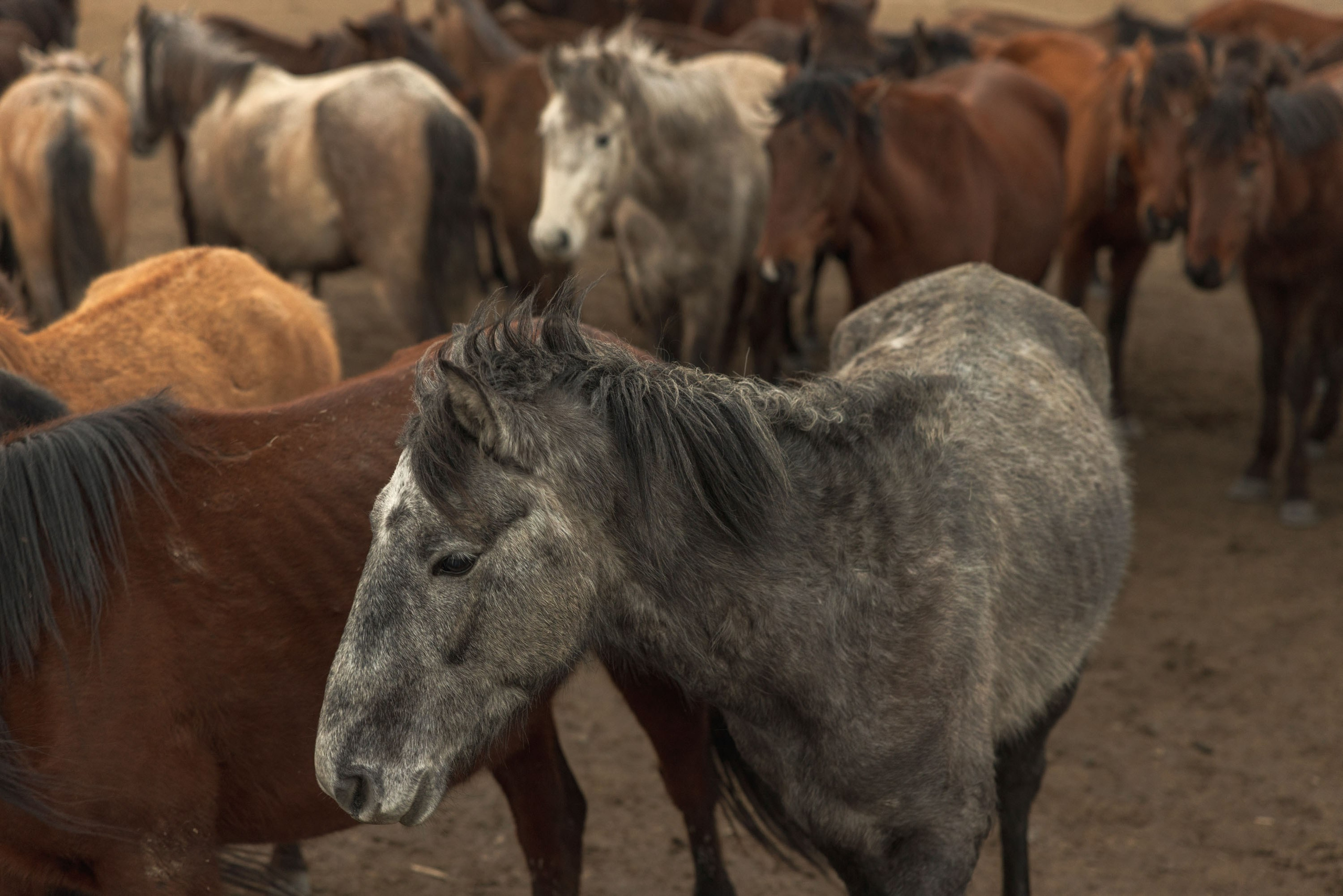 Hansika & Tanvir. Julia Ganch I Fashion Wedding Photography I Cappadocia Turkey