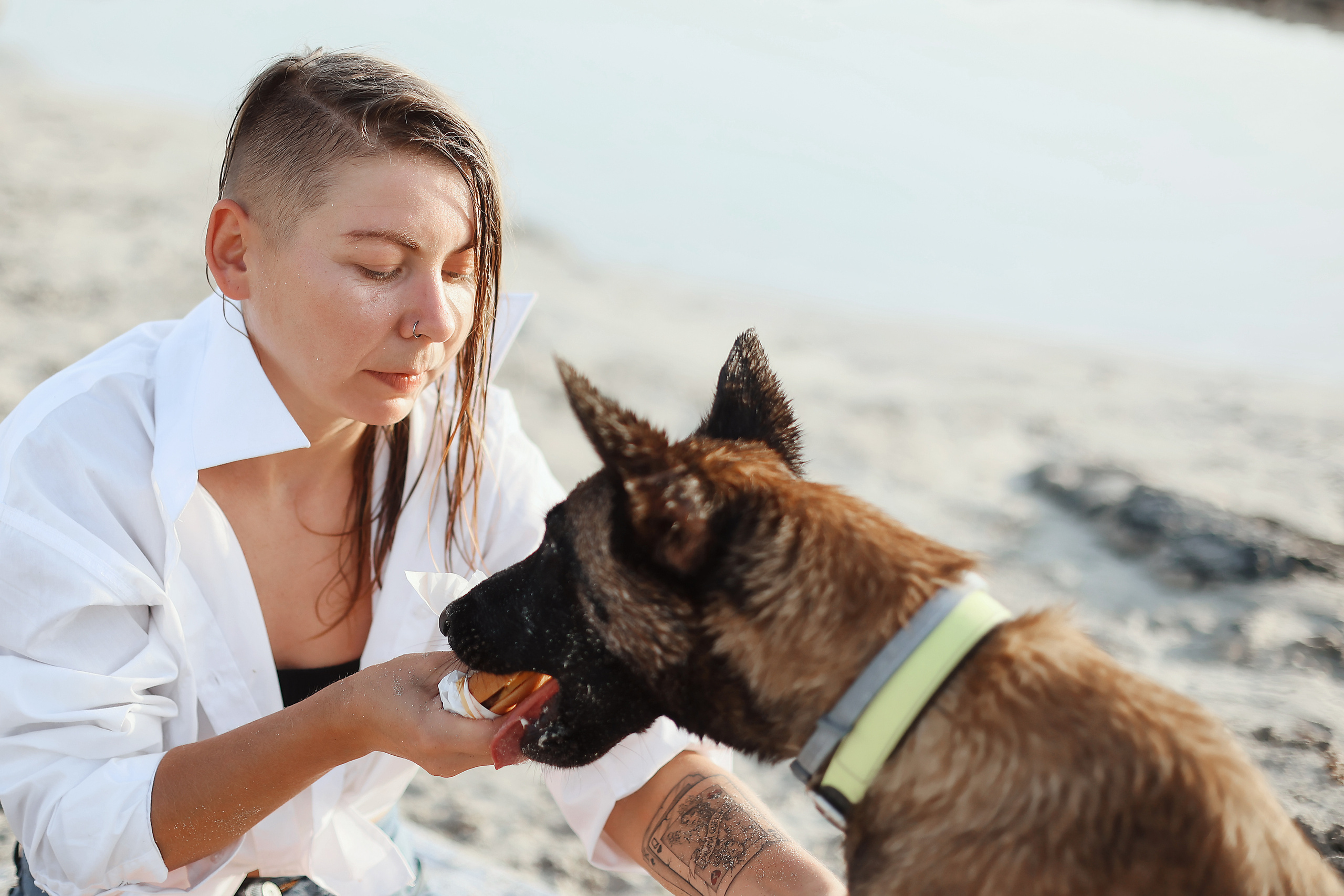Photoshoot with a pet, Ayia Napa. May, 2022. Home