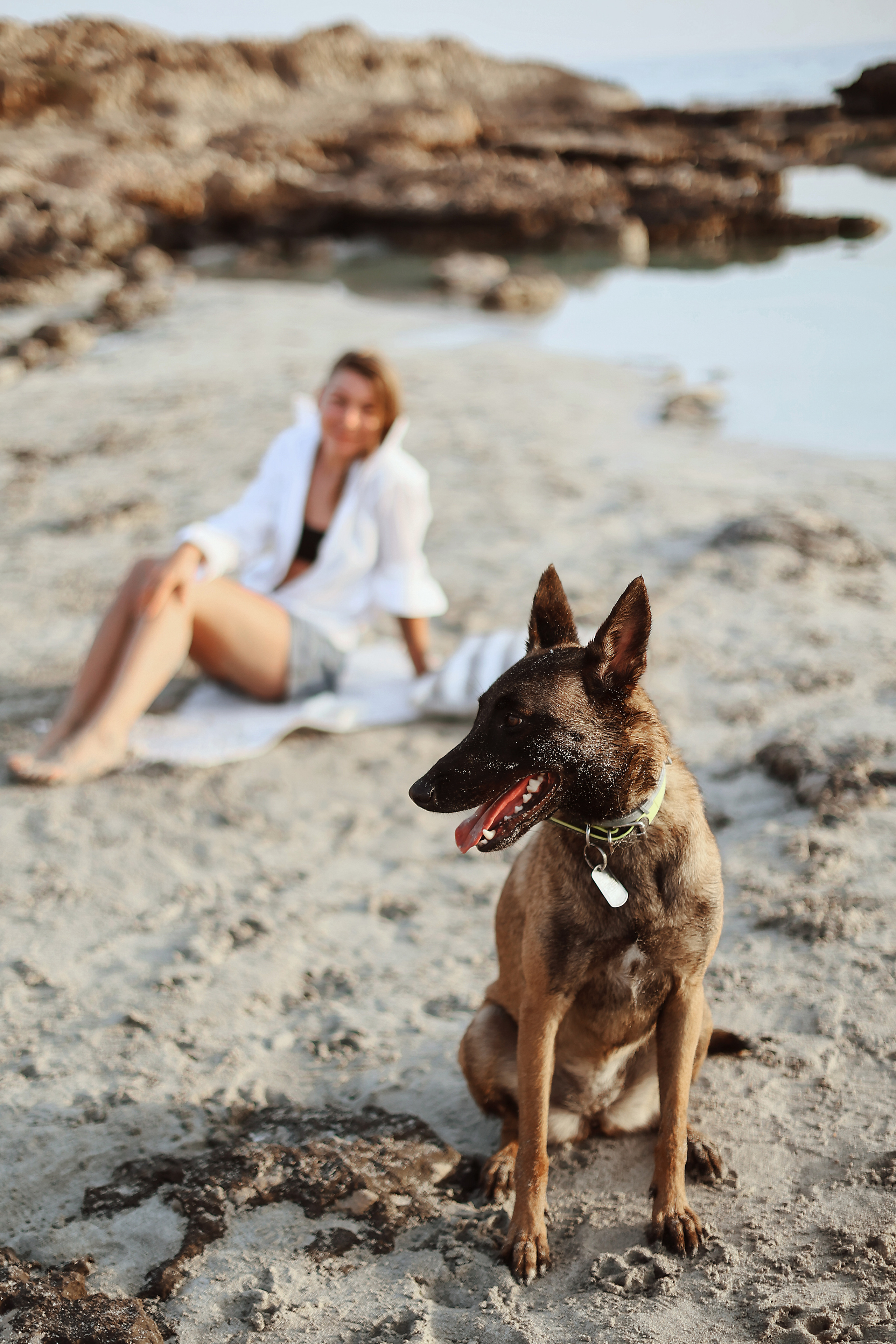 Photoshoot with a pet, Ayia Napa. May, 2022. Home