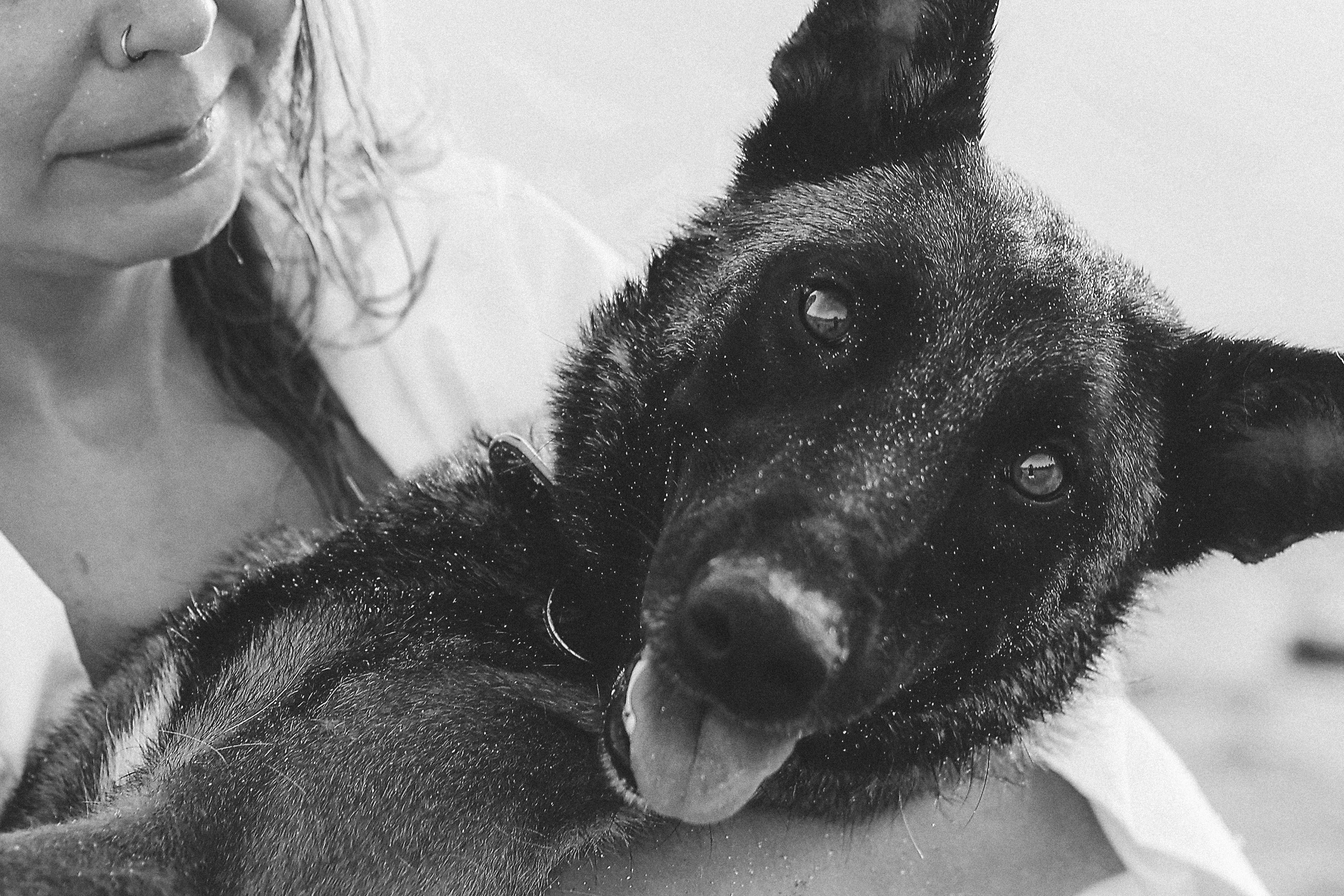 Photoshoot with a pet, Ayia Napa. May, 2022. Home