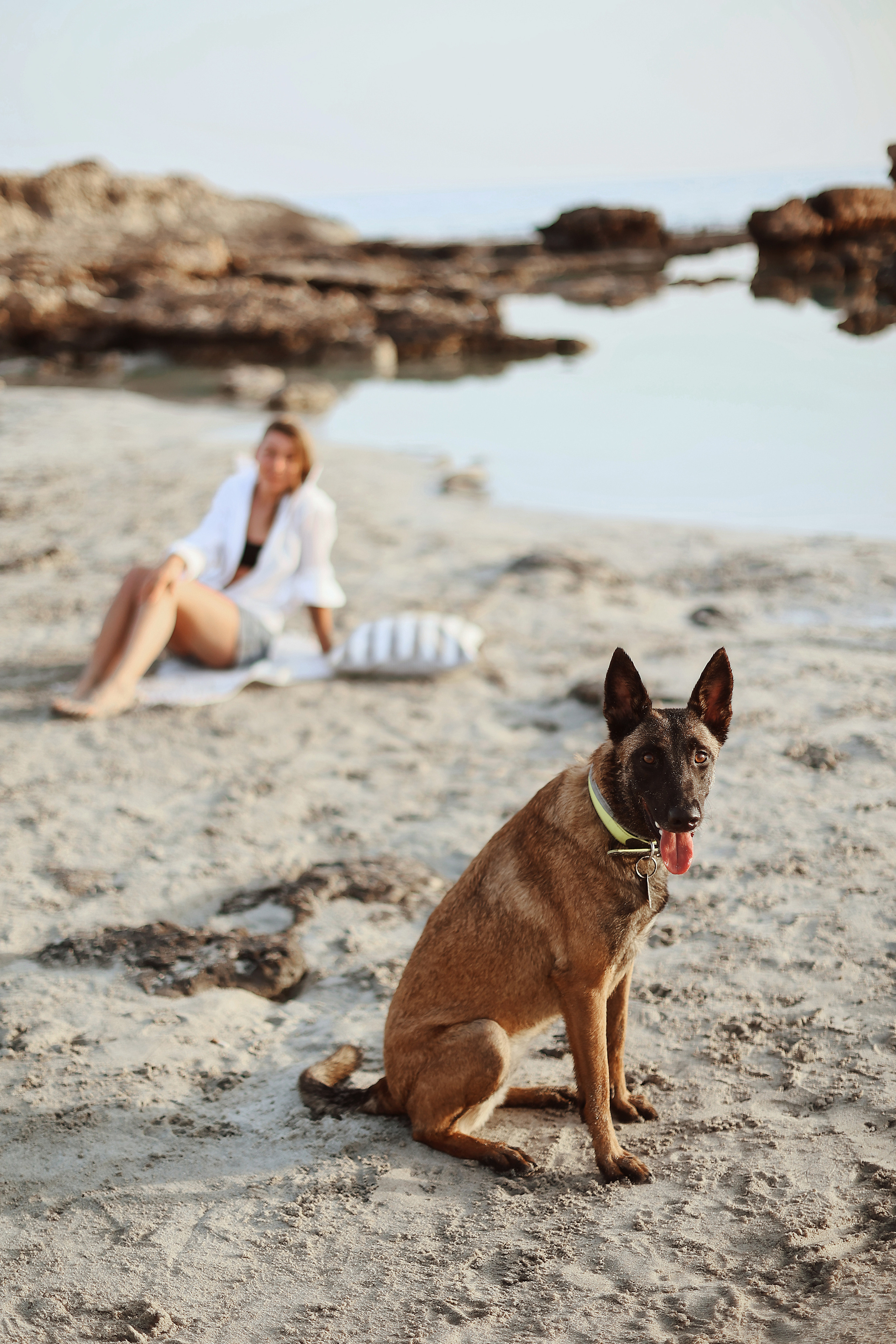 Photoshoot with a pet, Ayia Napa. May, 2022. Home