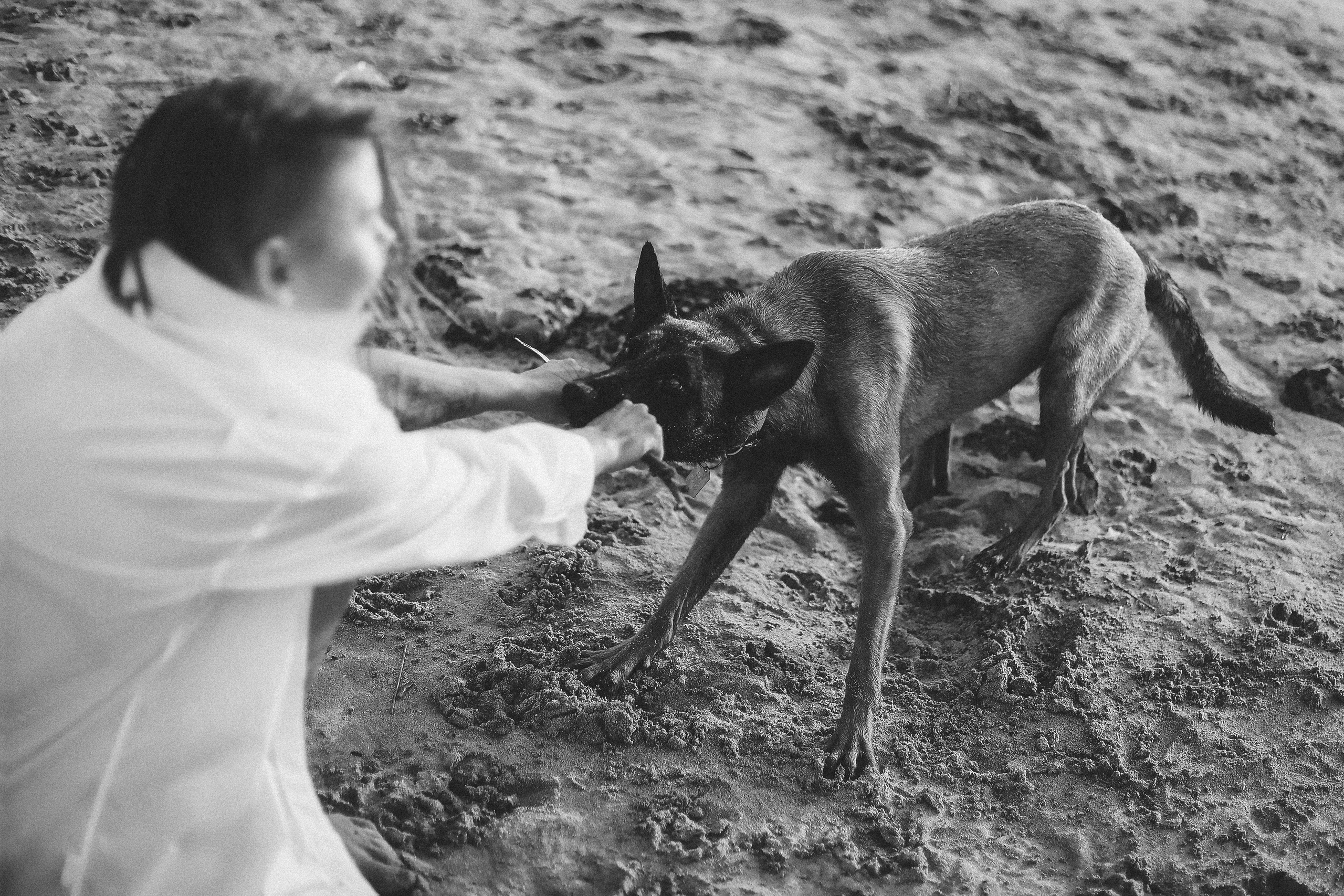 Photoshoot with a pet, Ayia Napa. May, 2022. Home