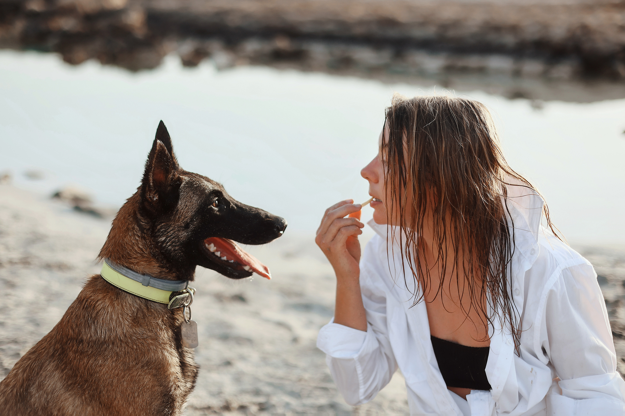 Photoshoot with a pet, Ayia Napa. May, 2022. Home