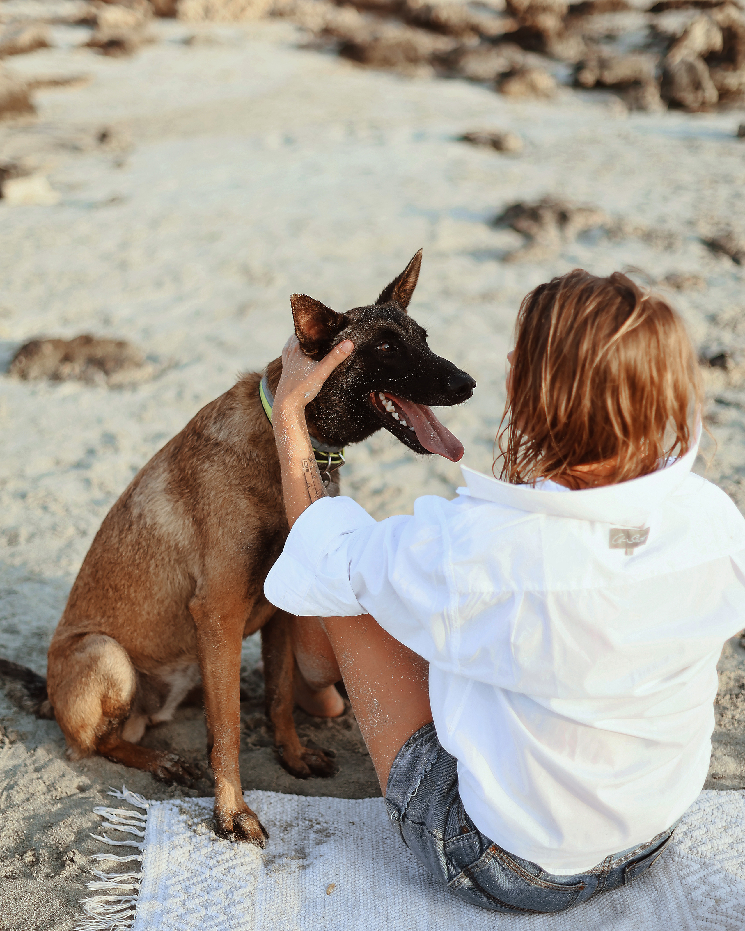Photoshoot with a pet, Ayia Napa. May, 2022. Home