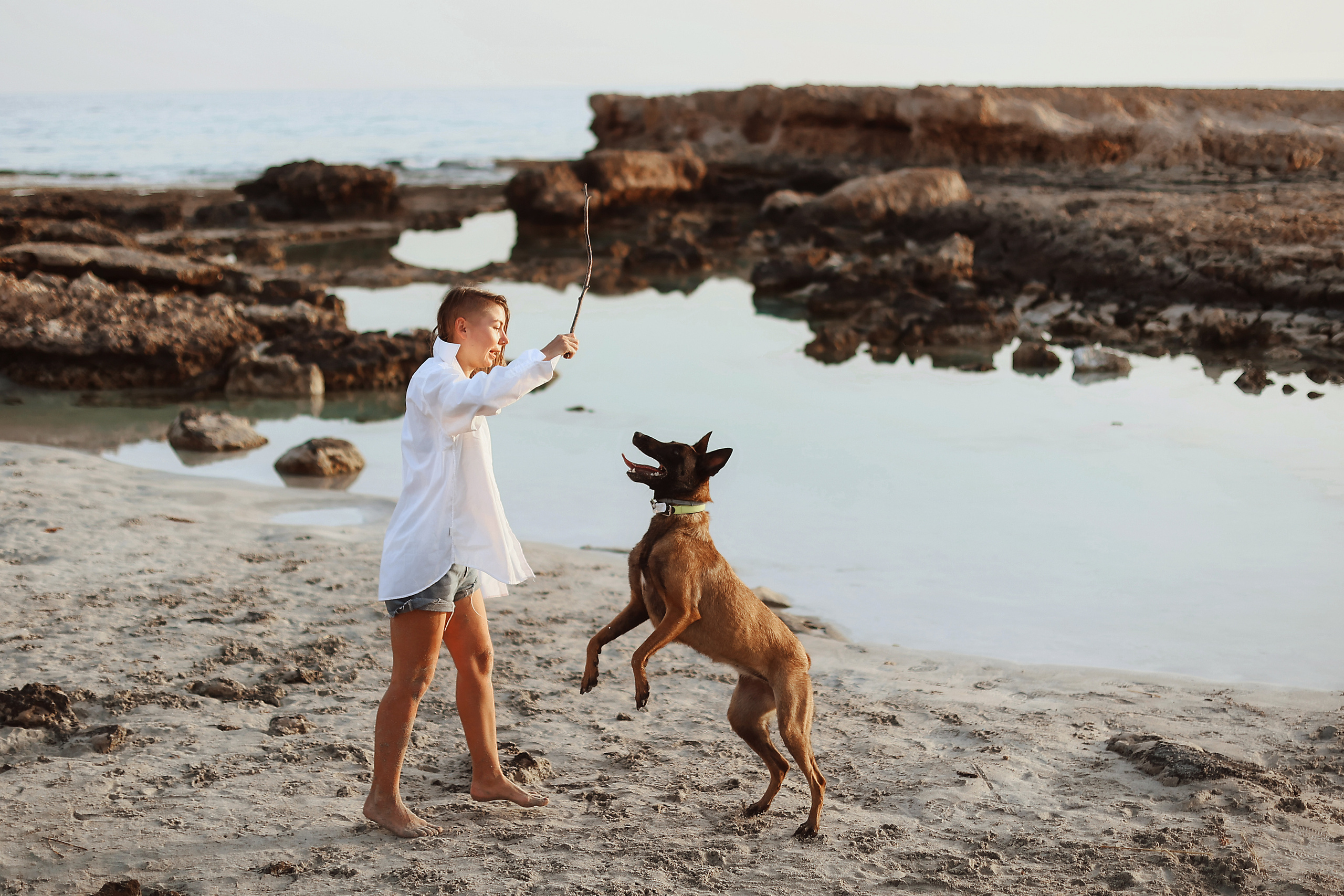 Photoshoot with a pet, Ayia Napa. May, 2022. Home