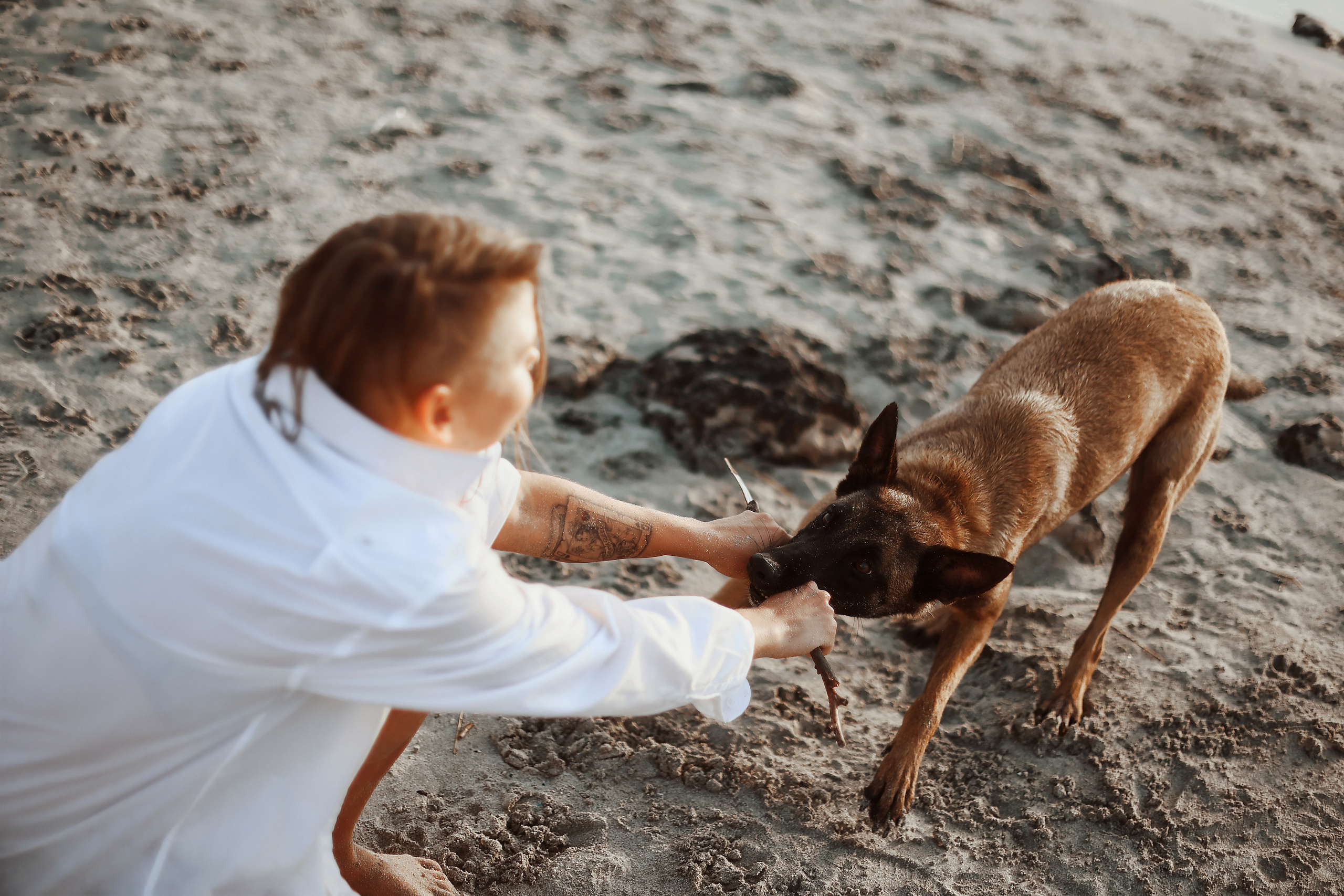 Photoshoot with a pet, Ayia Napa. May, 2022. Home