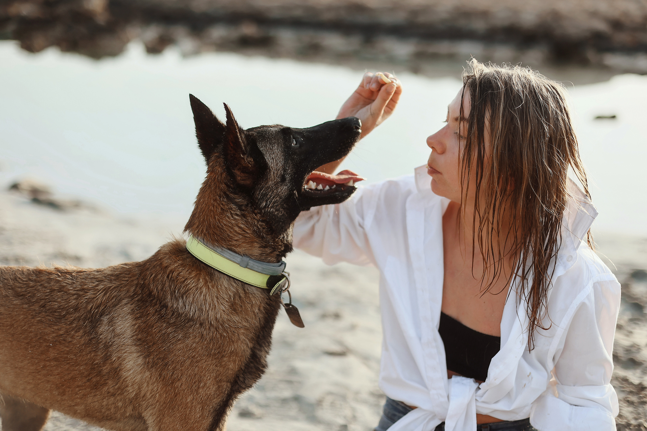 Photoshoot with a pet, Ayia Napa. May, 2022. Home