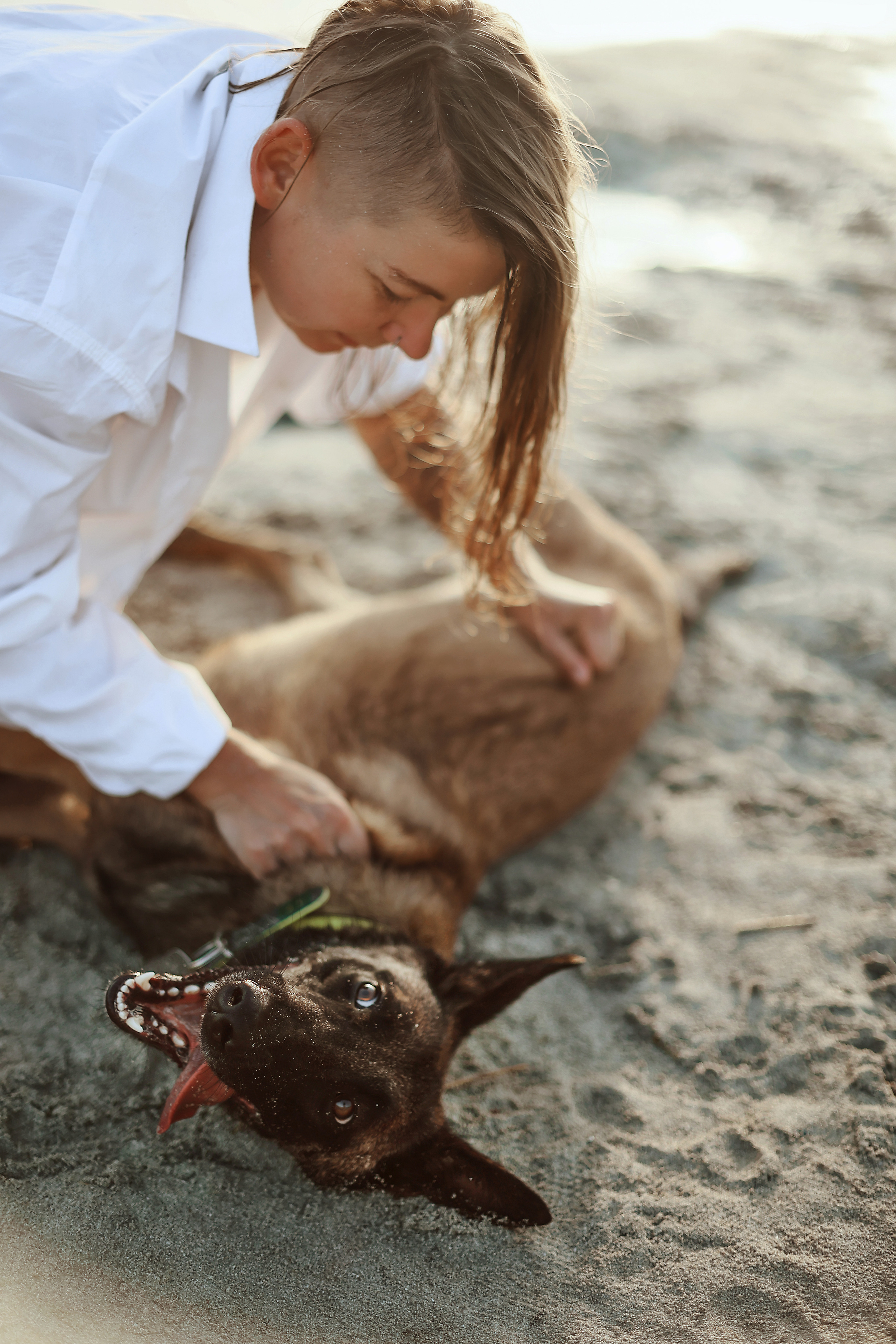Photoshoot with a pet, Ayia Napa. May, 2022. Home