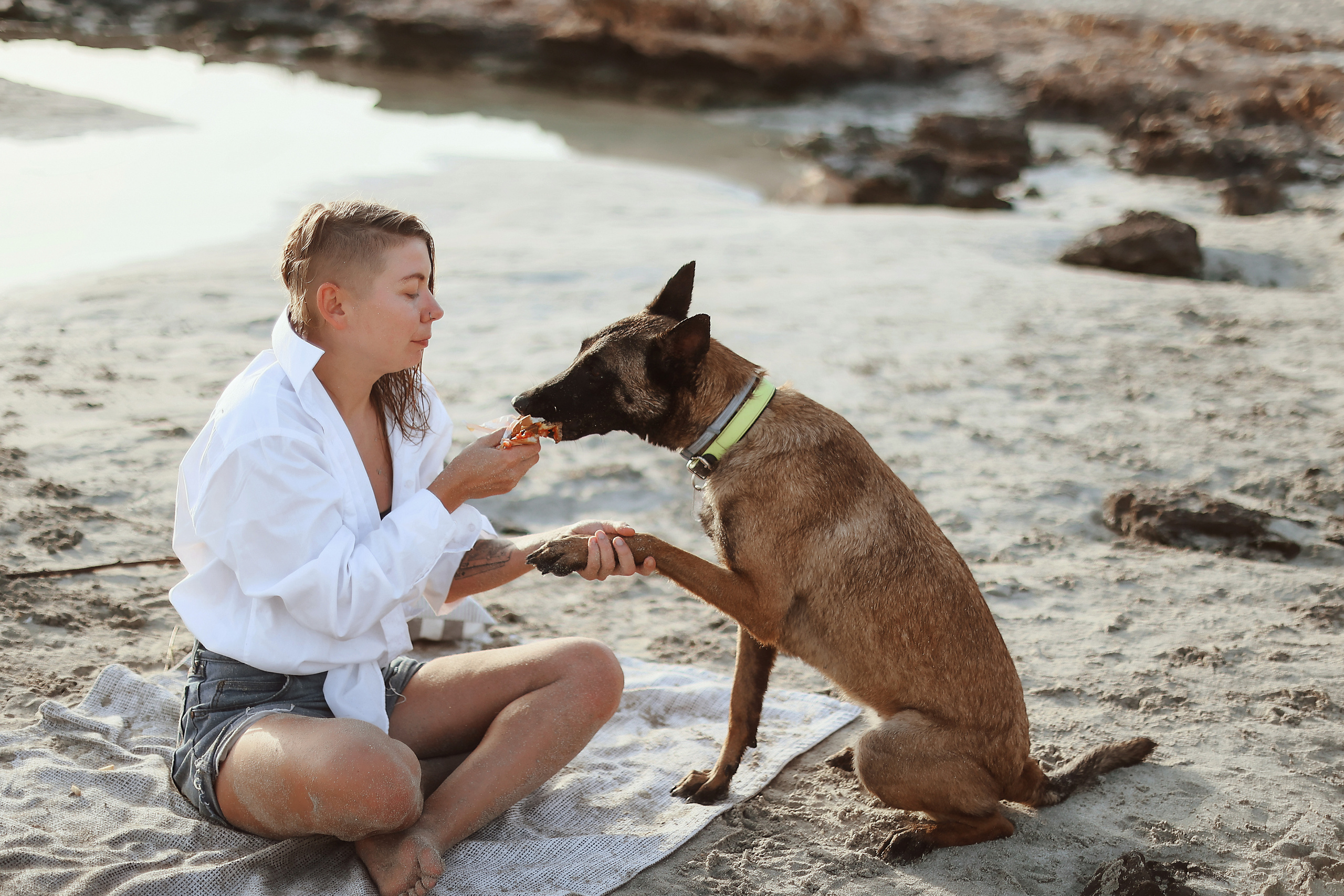 Photoshoot with a pet, Ayia Napa. May, 2022. Home